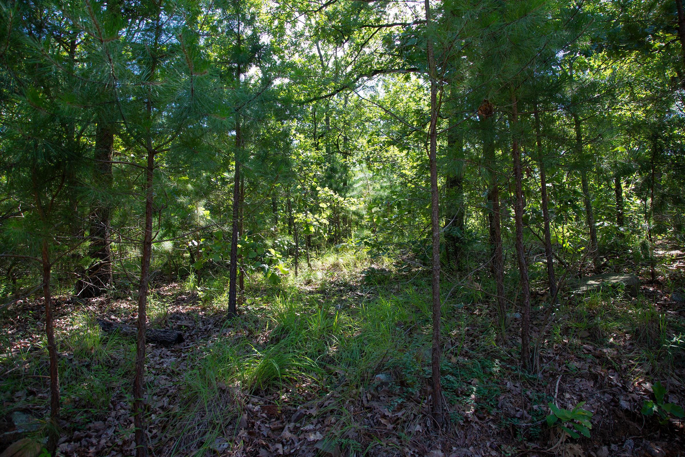 Tyler Stone Ranch Tract 70 photo 12