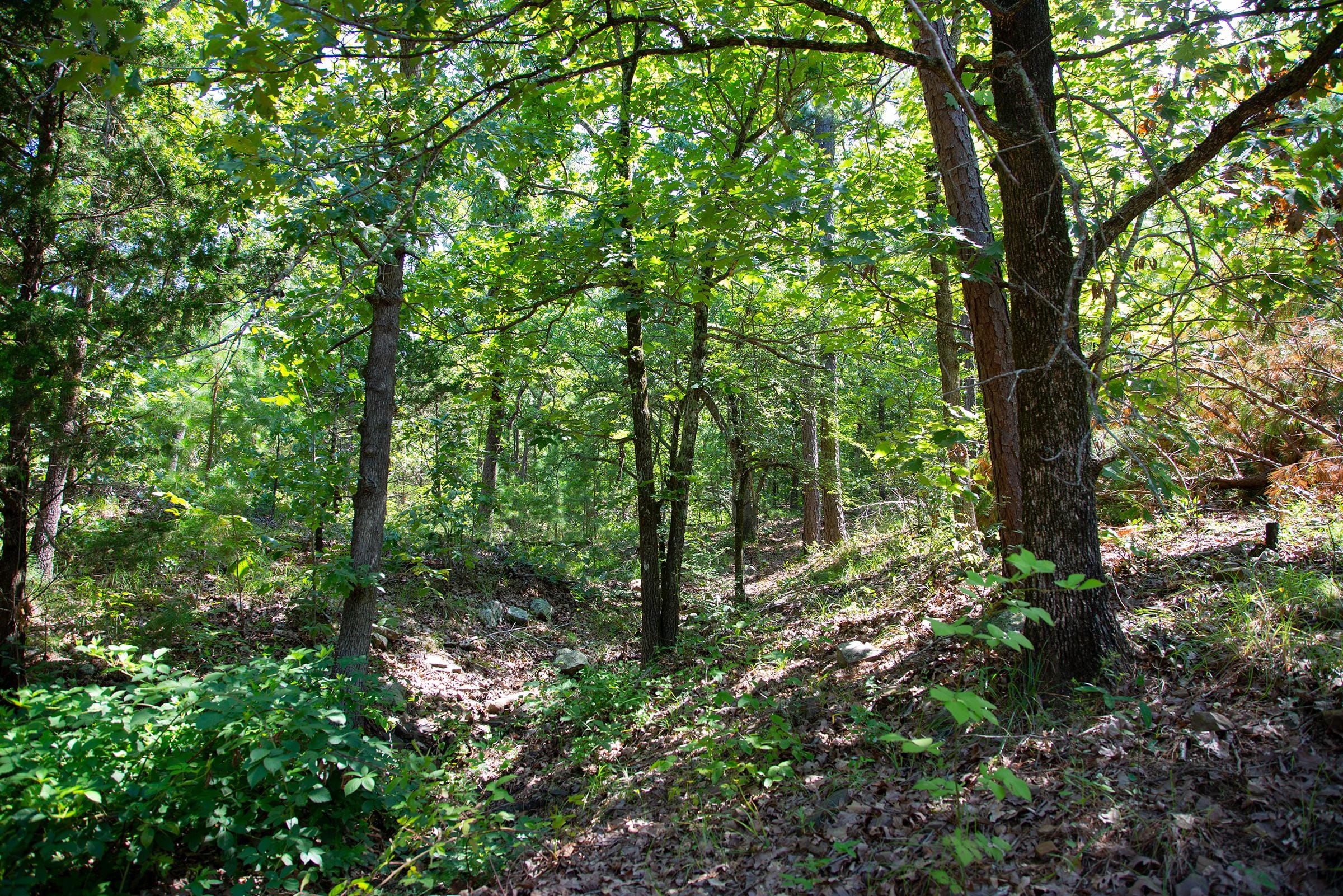Tyler Stone Ranch Tract 70 photo 13