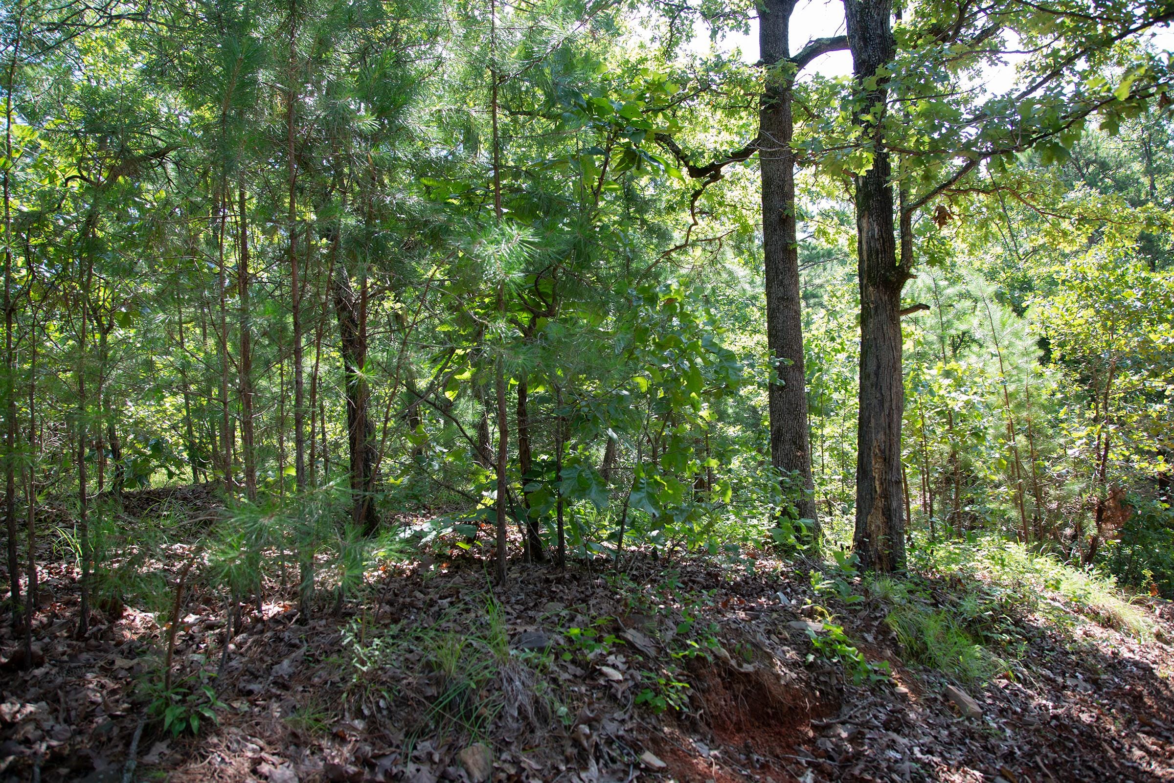 Tyler Stone Ranch Tract 70 photo 14