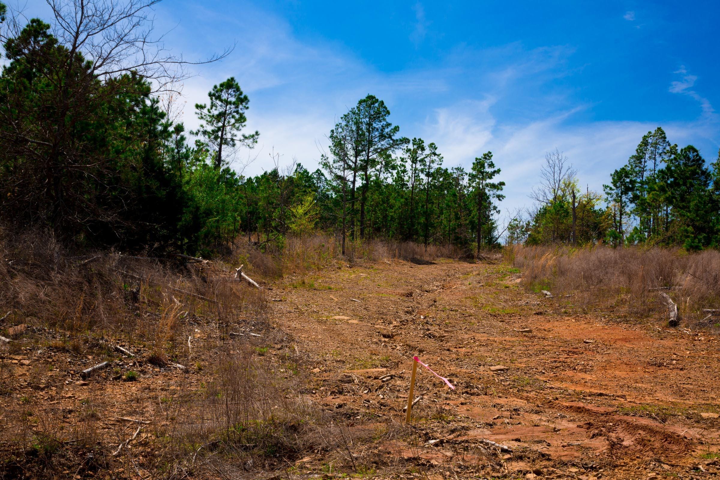 Stone Creek Phase II Tract 244 photo 7