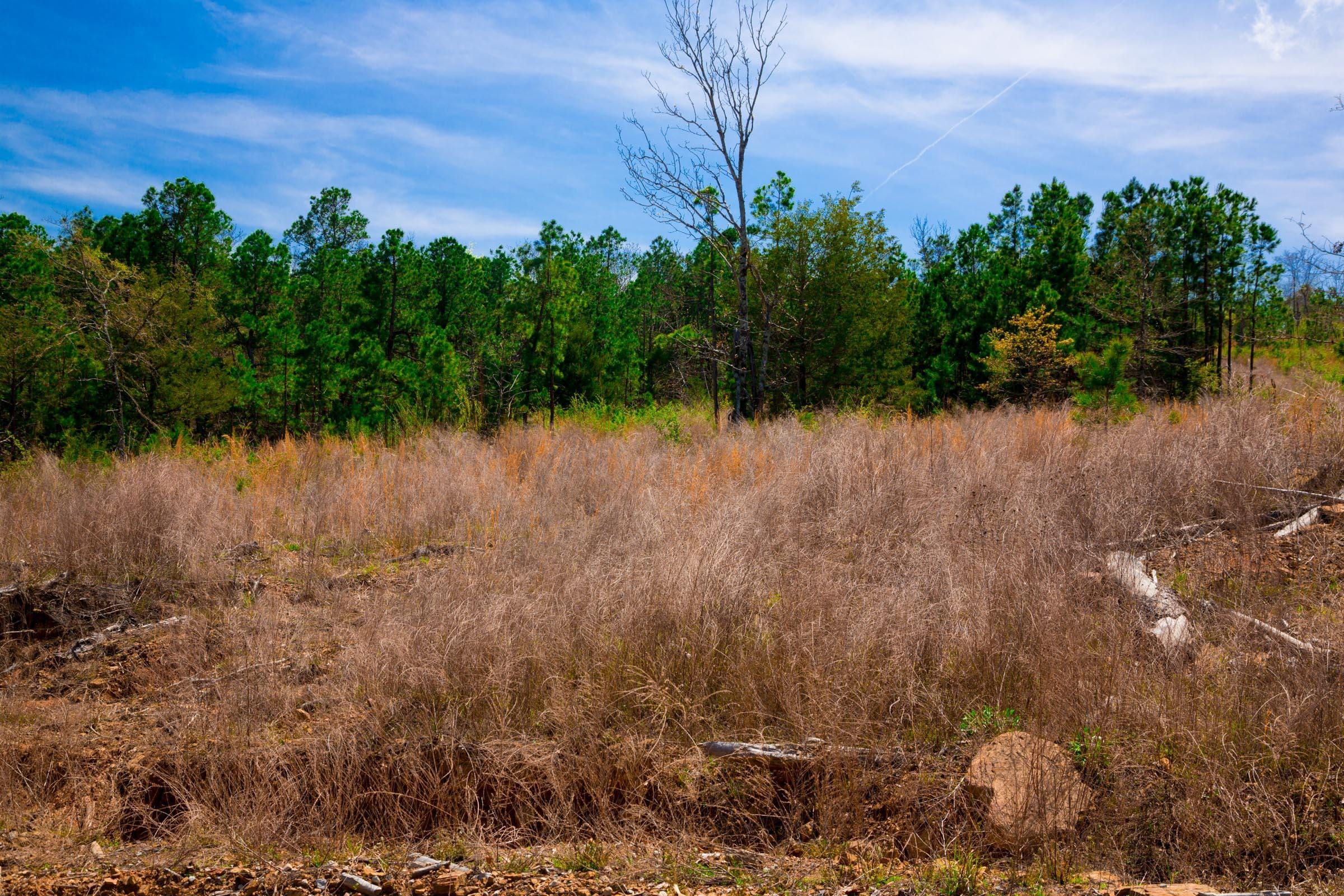 Stone Creek Phase II Tract 244 photo 8