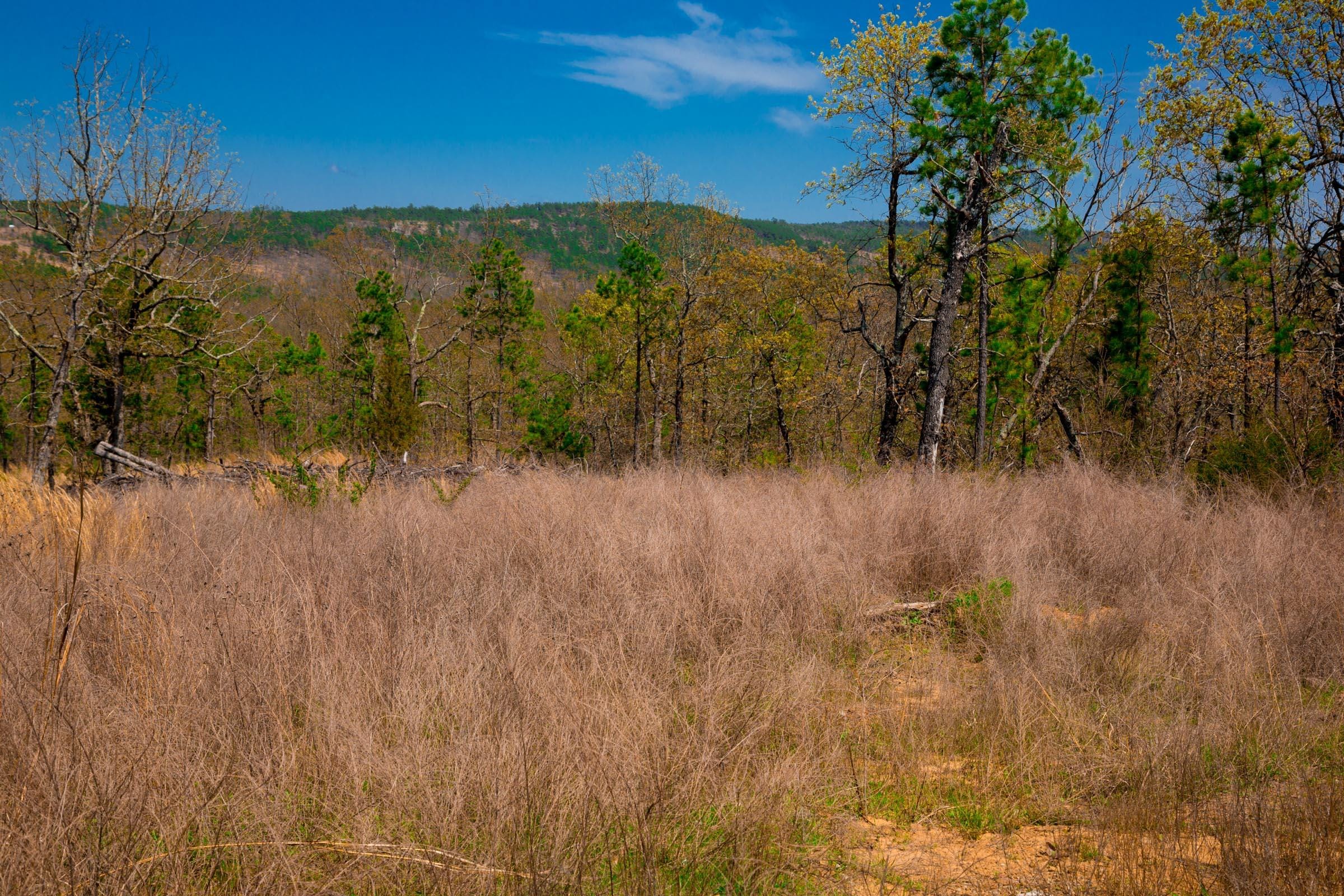 Stone Creek Phase II Tract 244 photo 9