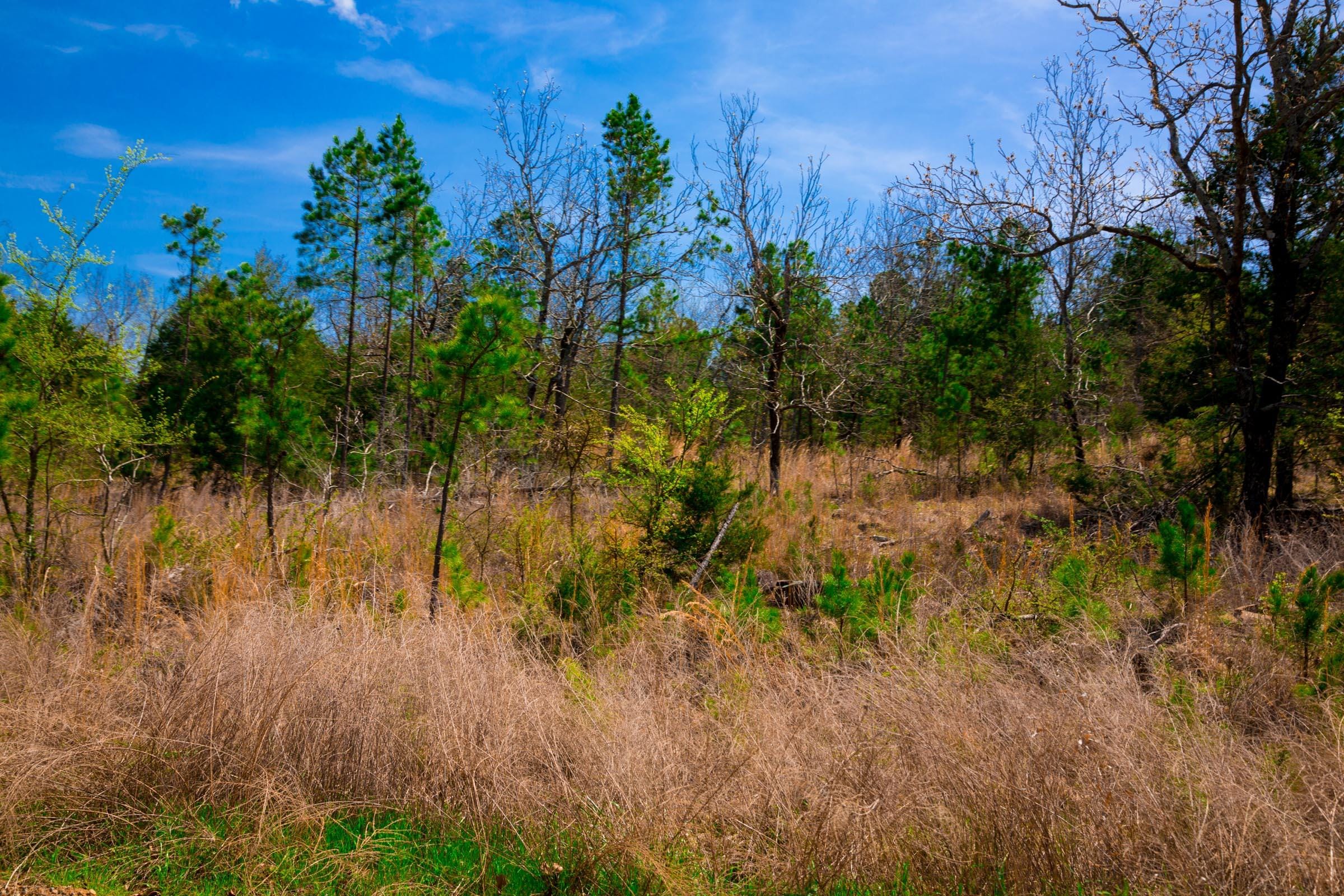 Stone Creek Phase II Tract 244 photo 11