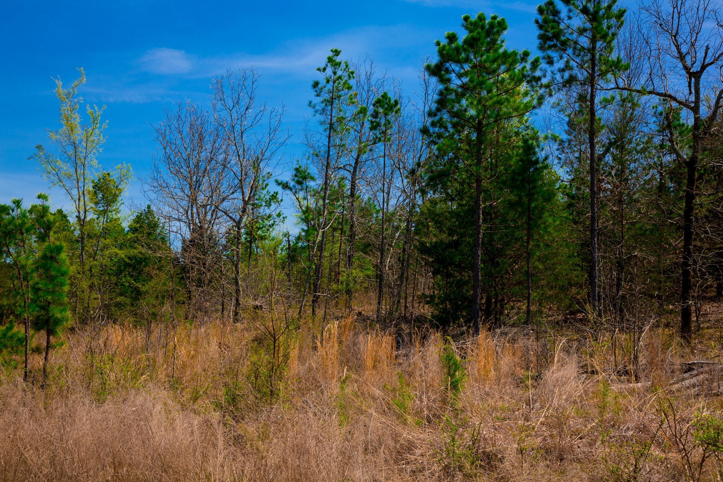 Stone Creek Phase II Tract 244 photo 12
