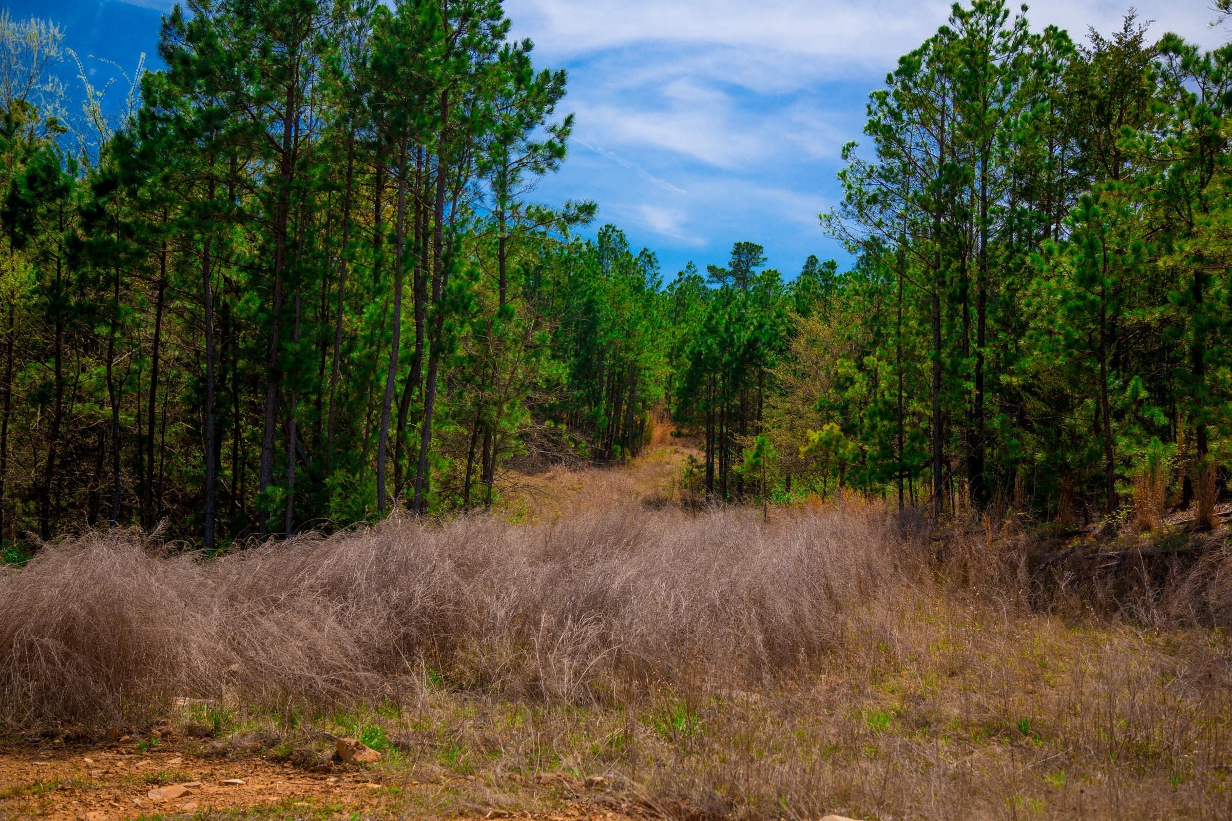 Stone Creek Phase II Tract 244 photo 14