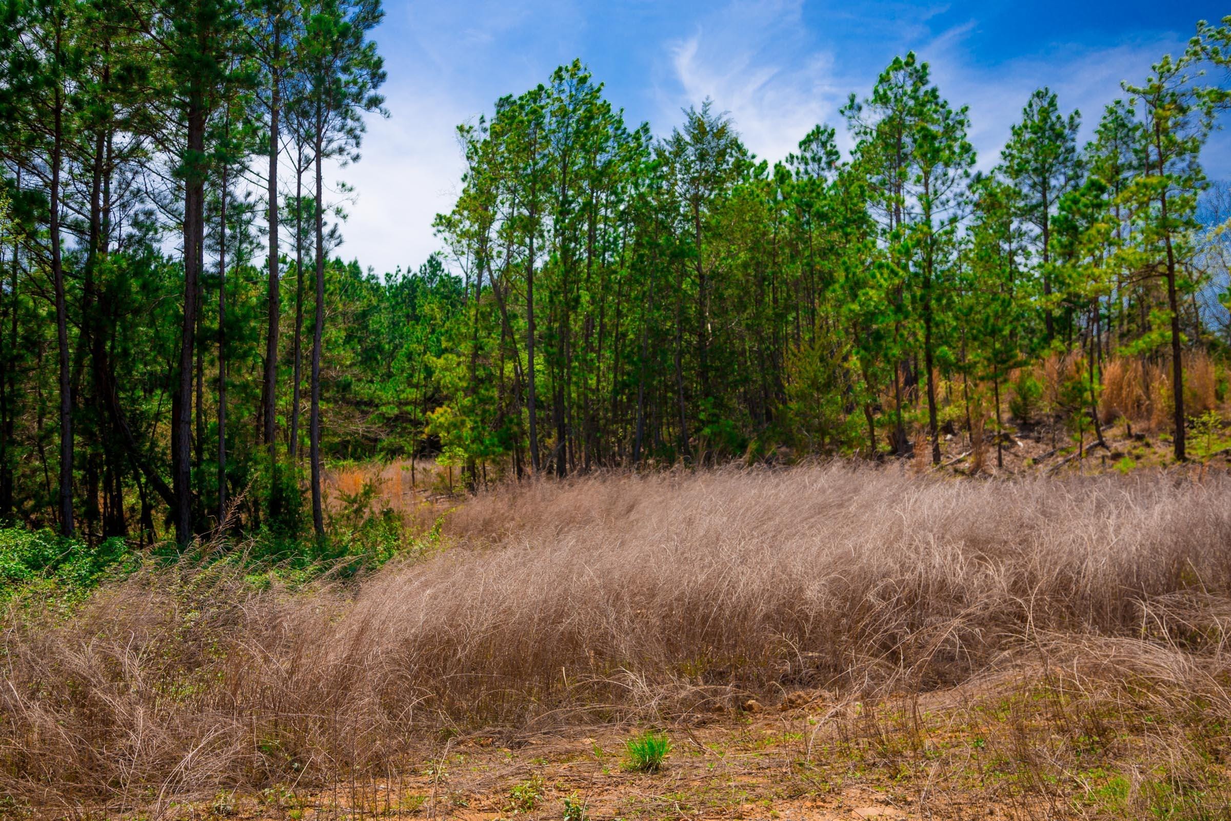 Stone Creek Phase II Tract 244 photo 15