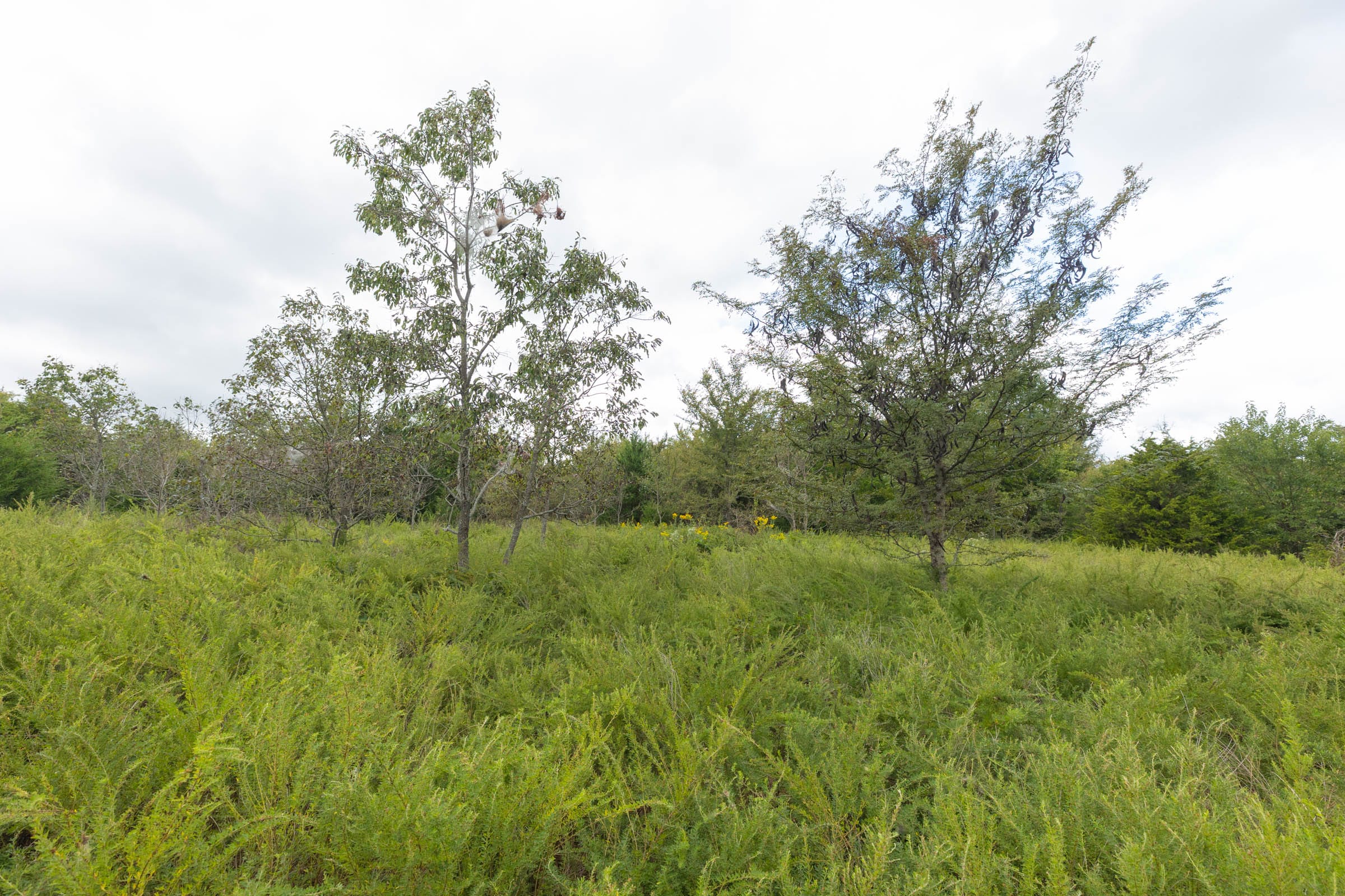 Reserves At Cattail Cove Phase II Tract 87 photo 13