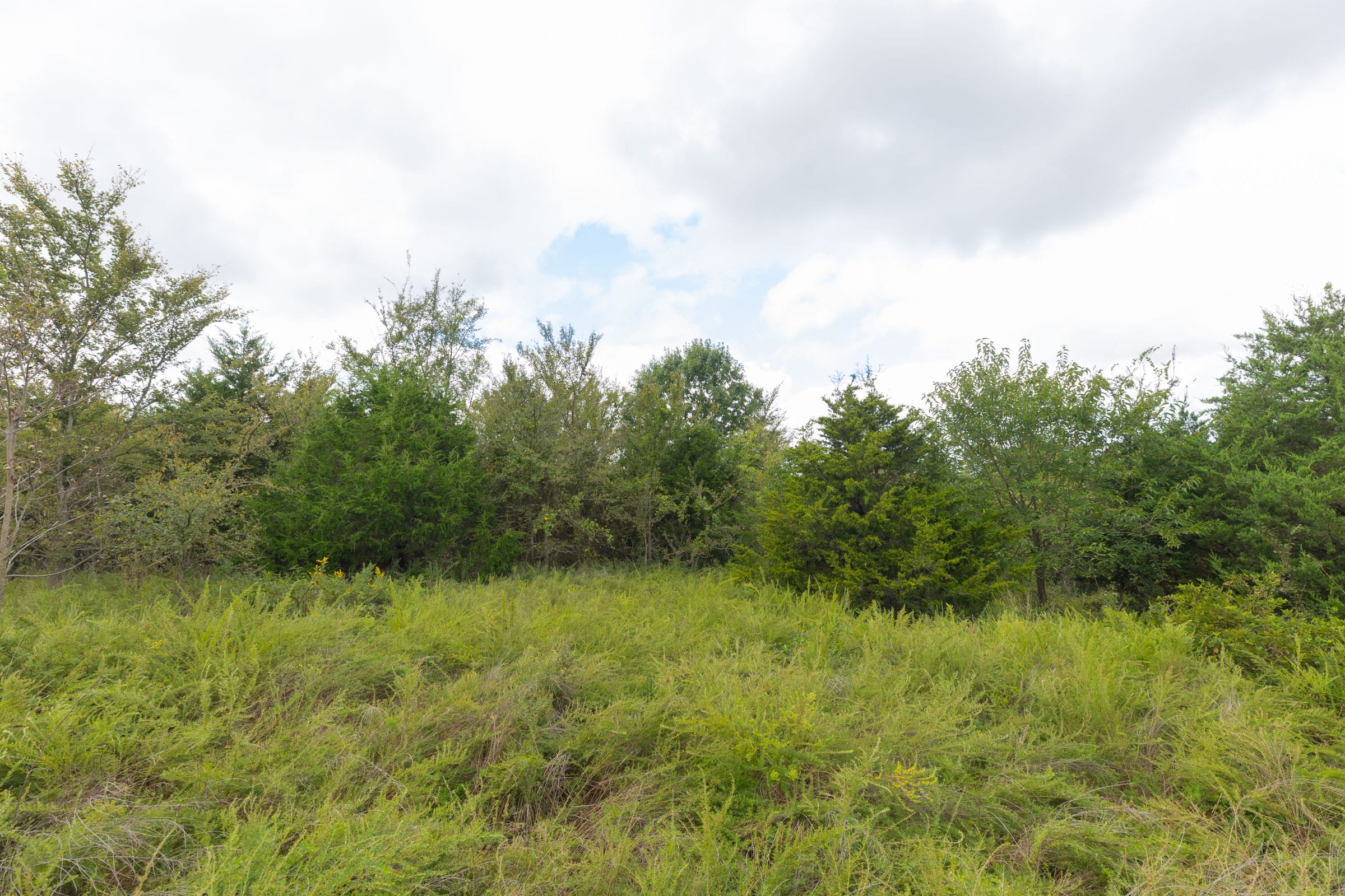 Reserves At Cattail Cove Phase II Tract 87 photo 8