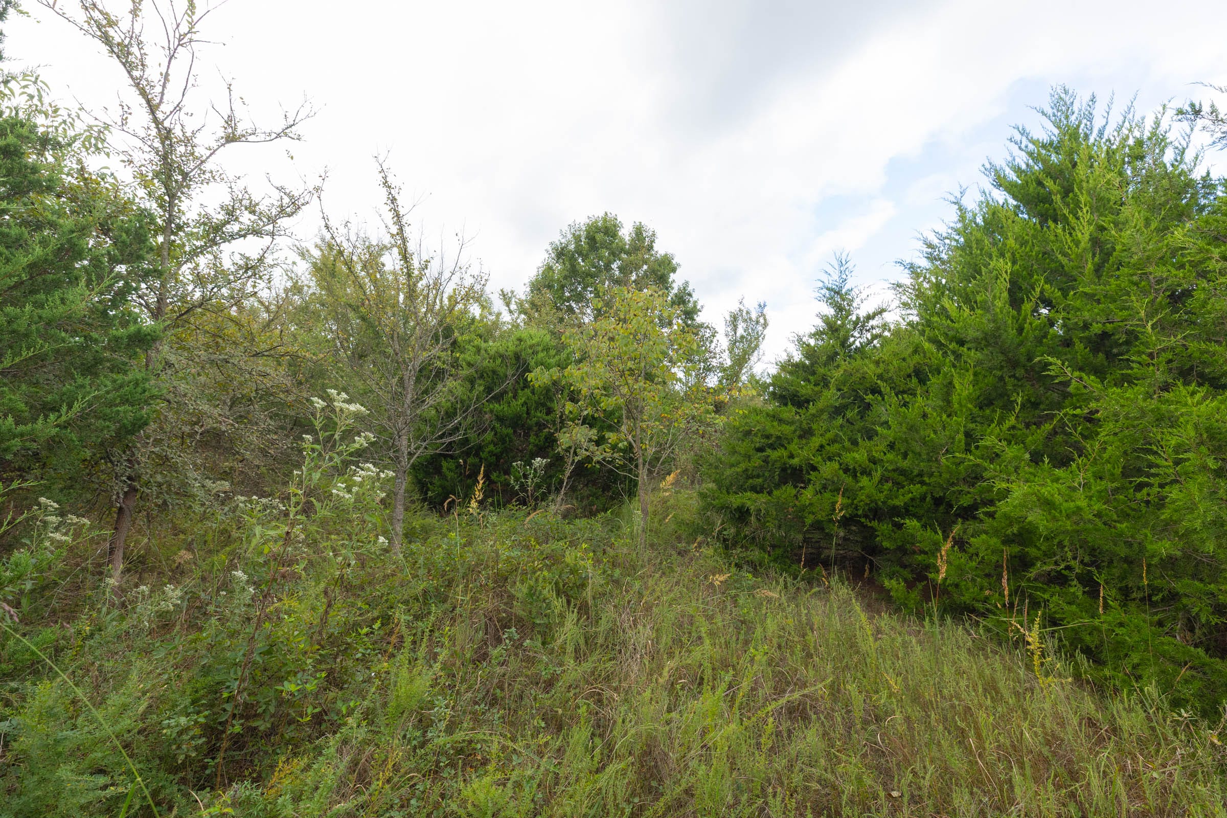 Reserves At Cattail Cove Phase II Tract 87 photo 7