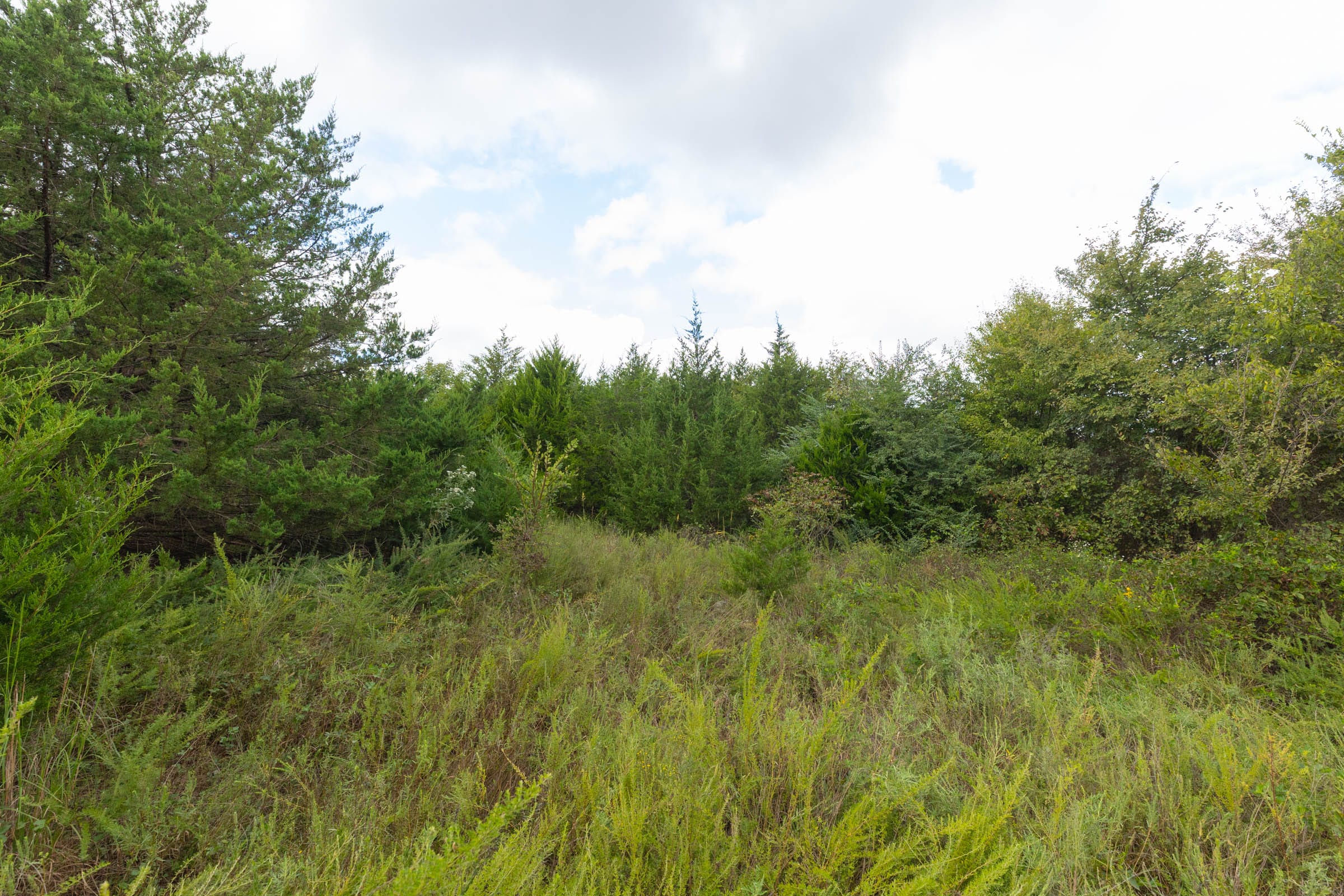 Reserves At Cattail Cove Phase II Tract 87 photo 6
