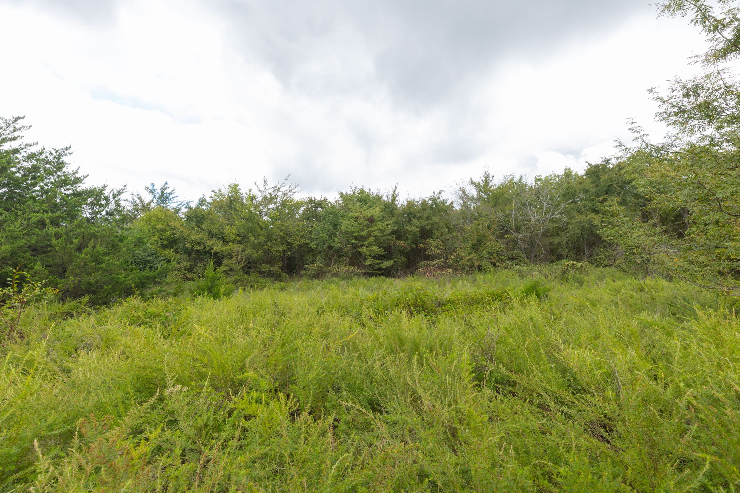 Reserves At Cattail Cove Phase II Tract 87 photo 4