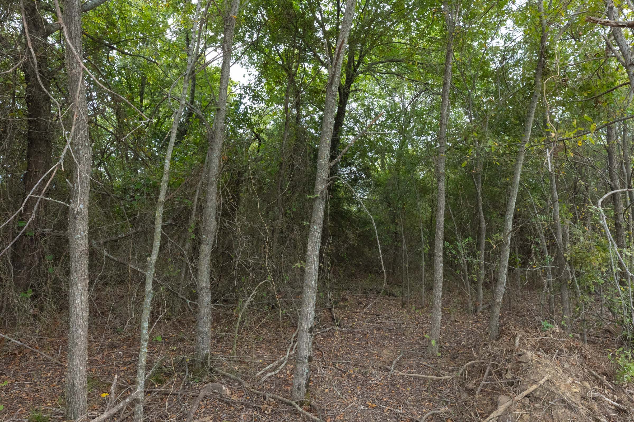 Reserves At Cattail Cove Phase II Tract 87 photo 12