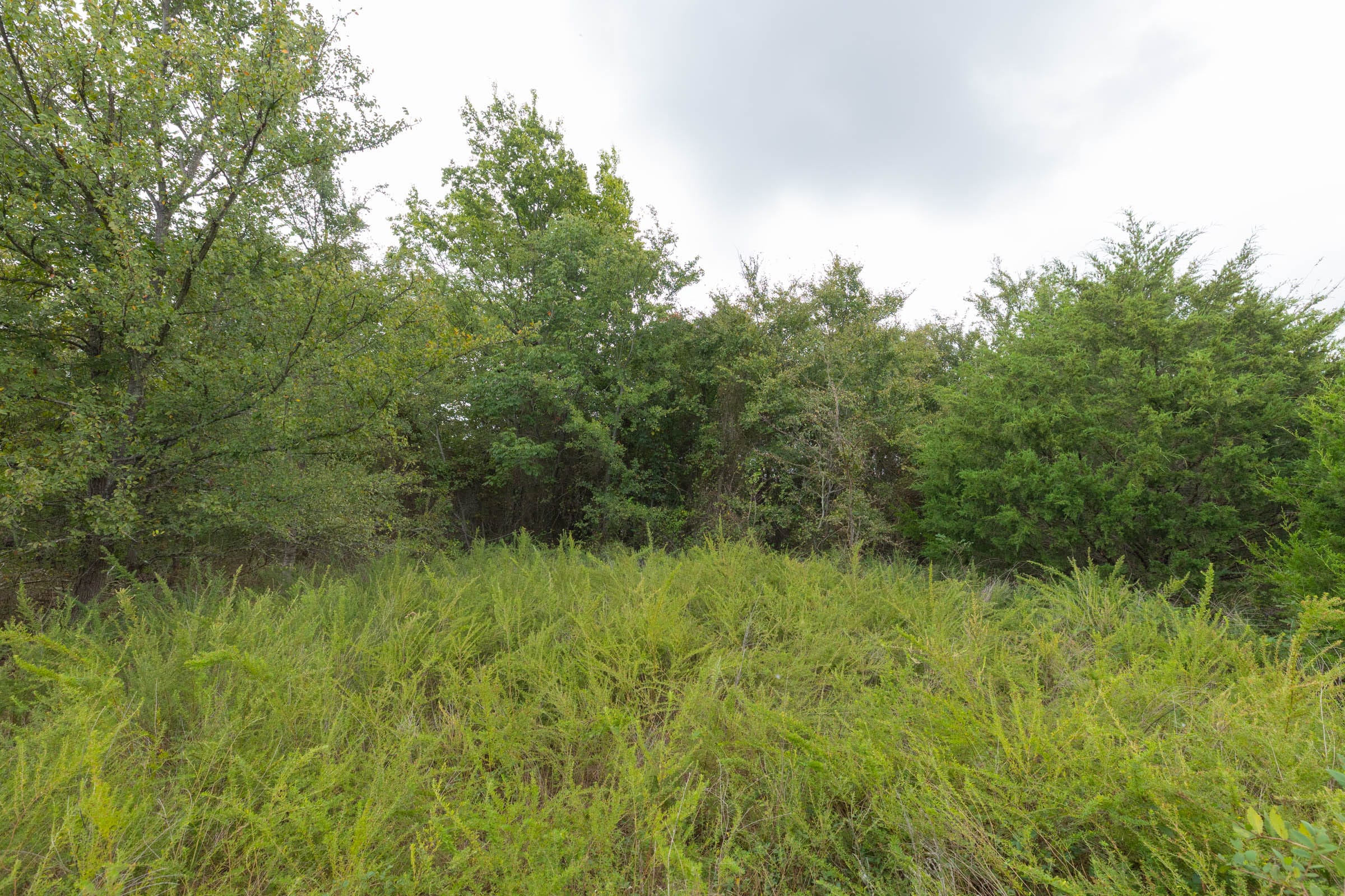 Reserves At Cattail Cove Phase II Tract 87 photo 5