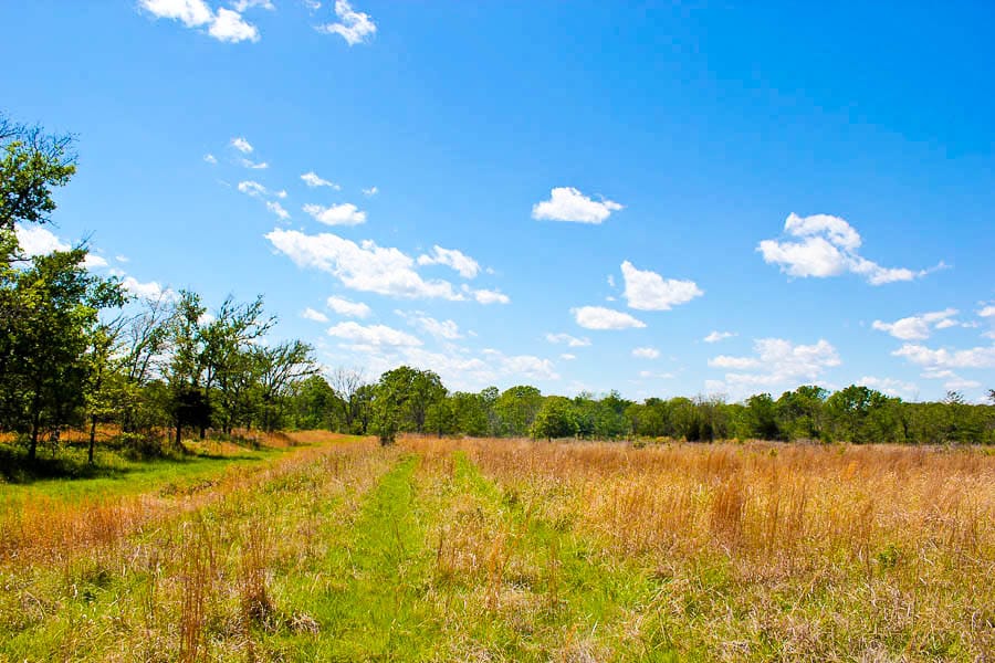 Saddlebrook Ranch Tract 32 photo 2