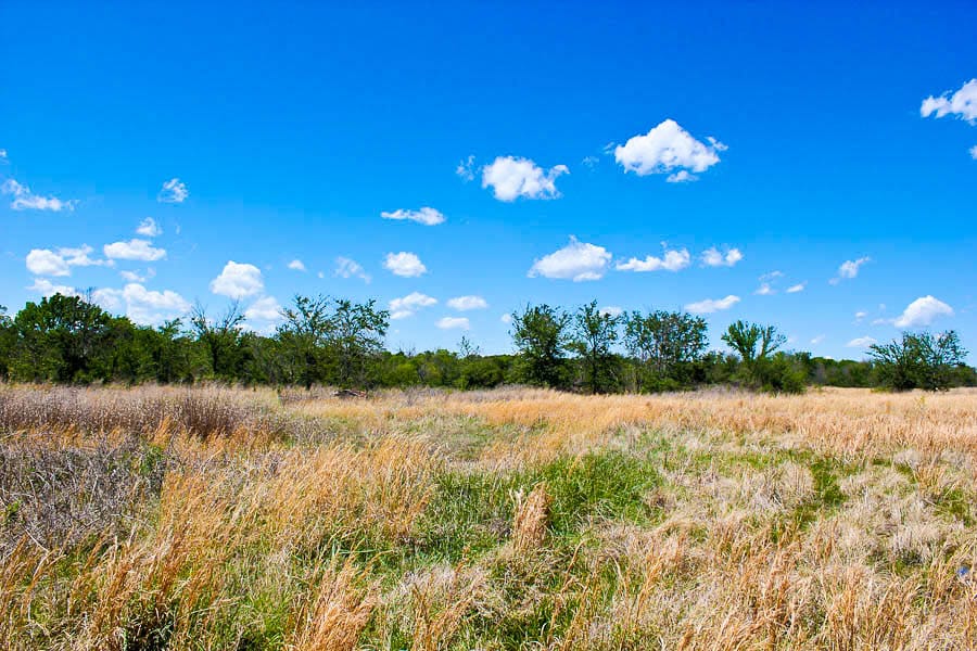 Saddlebrook Ranch Tract 32 photo 4
