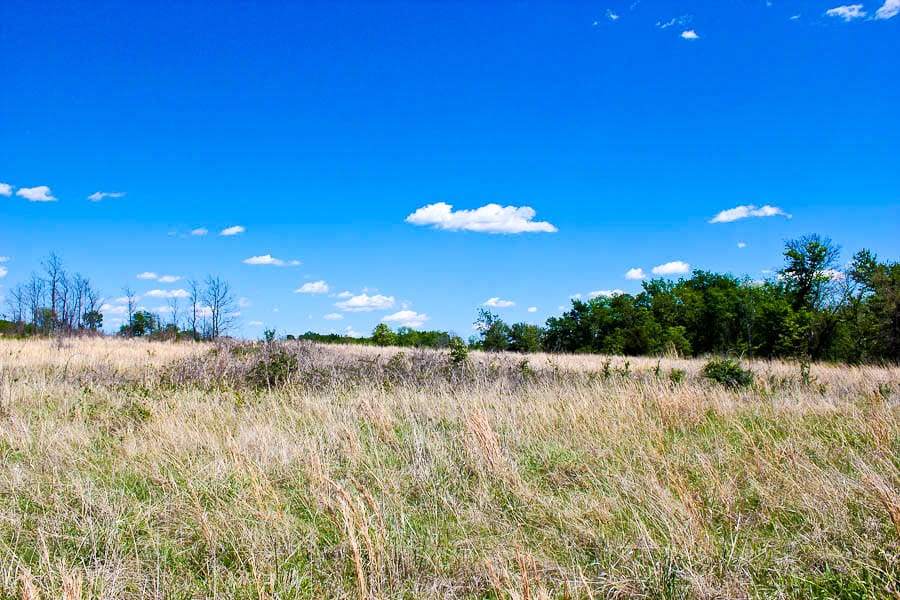 Saddlebrook Ranch Tract 32 photo 6