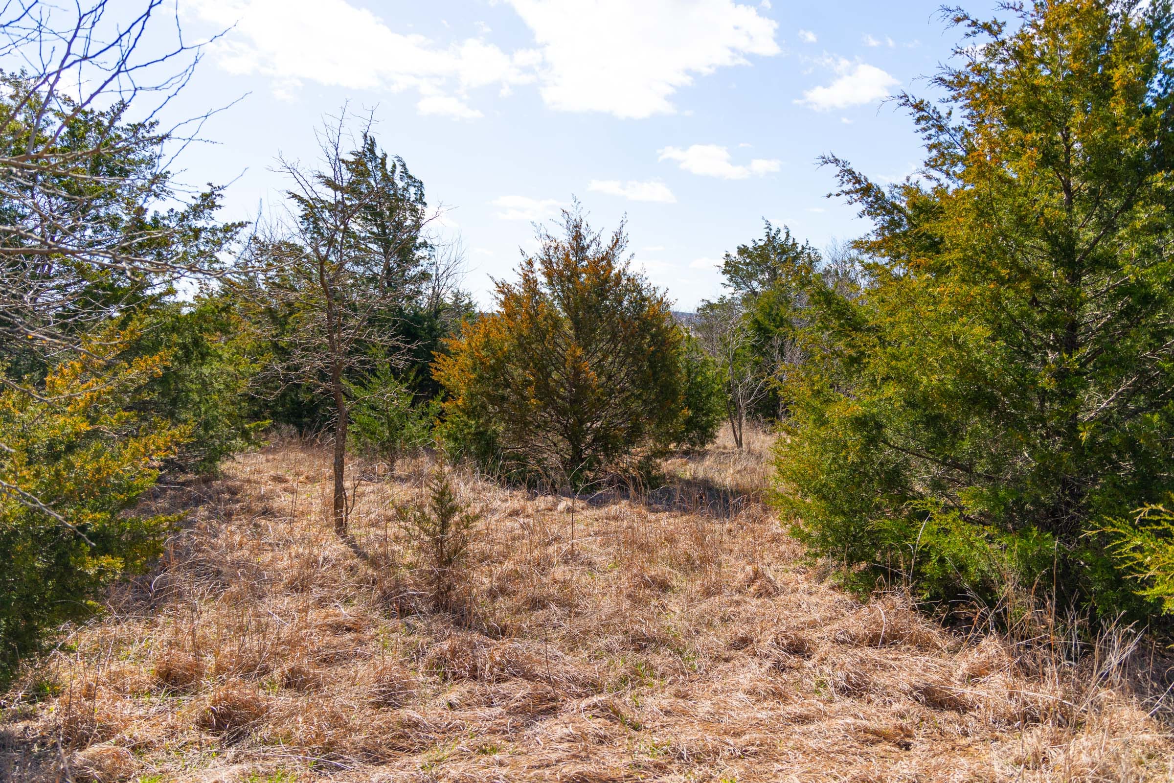 Reserves At Cattail Cove Phase I Tract 28 photo 18