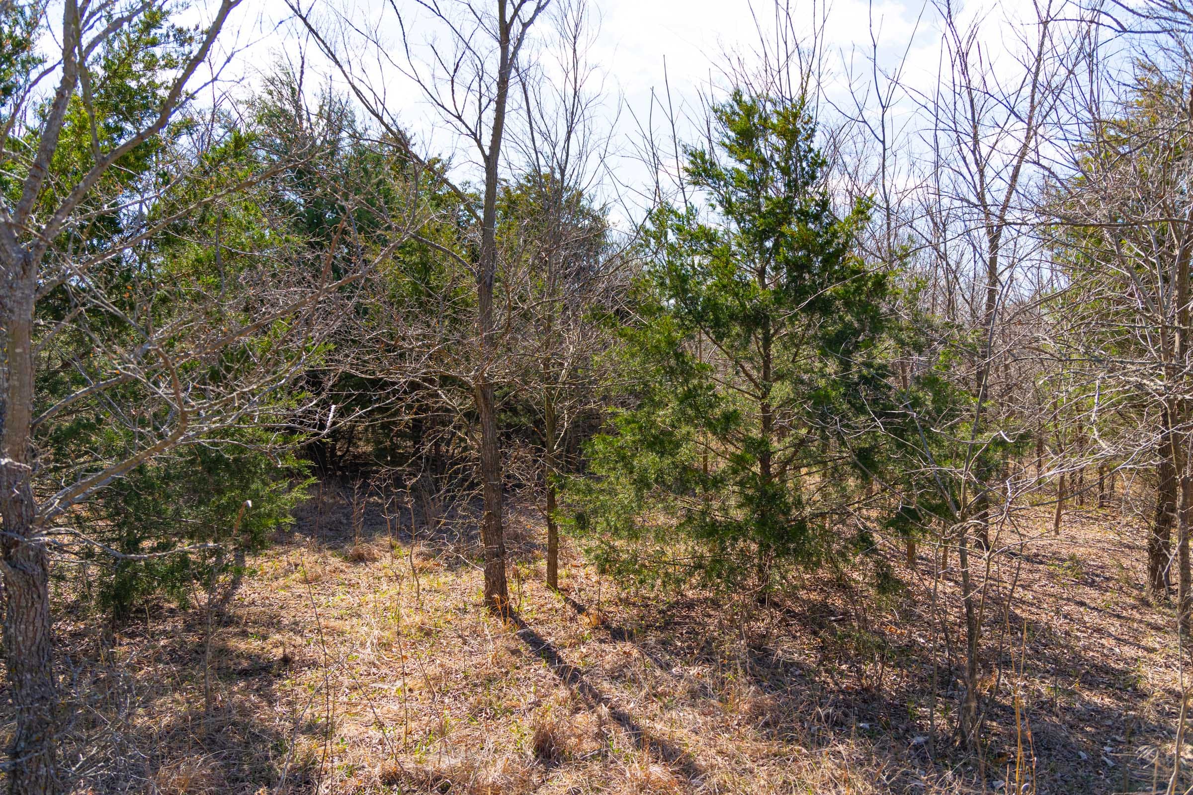 Reserves At Cattail Cove Phase I Tract 28 photo 12