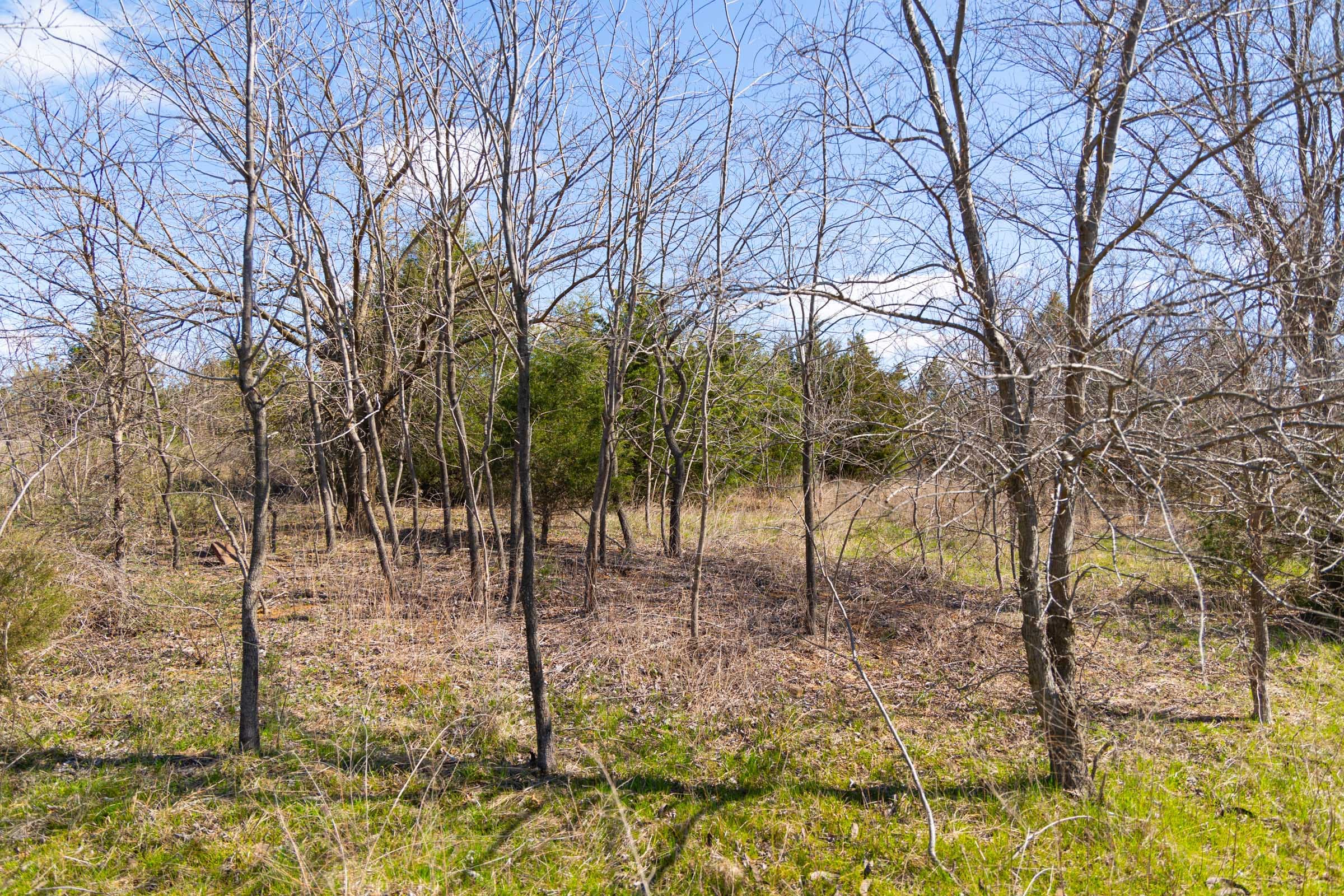 Reserves At Cattail Cove Phase I Tract 28 photo 11