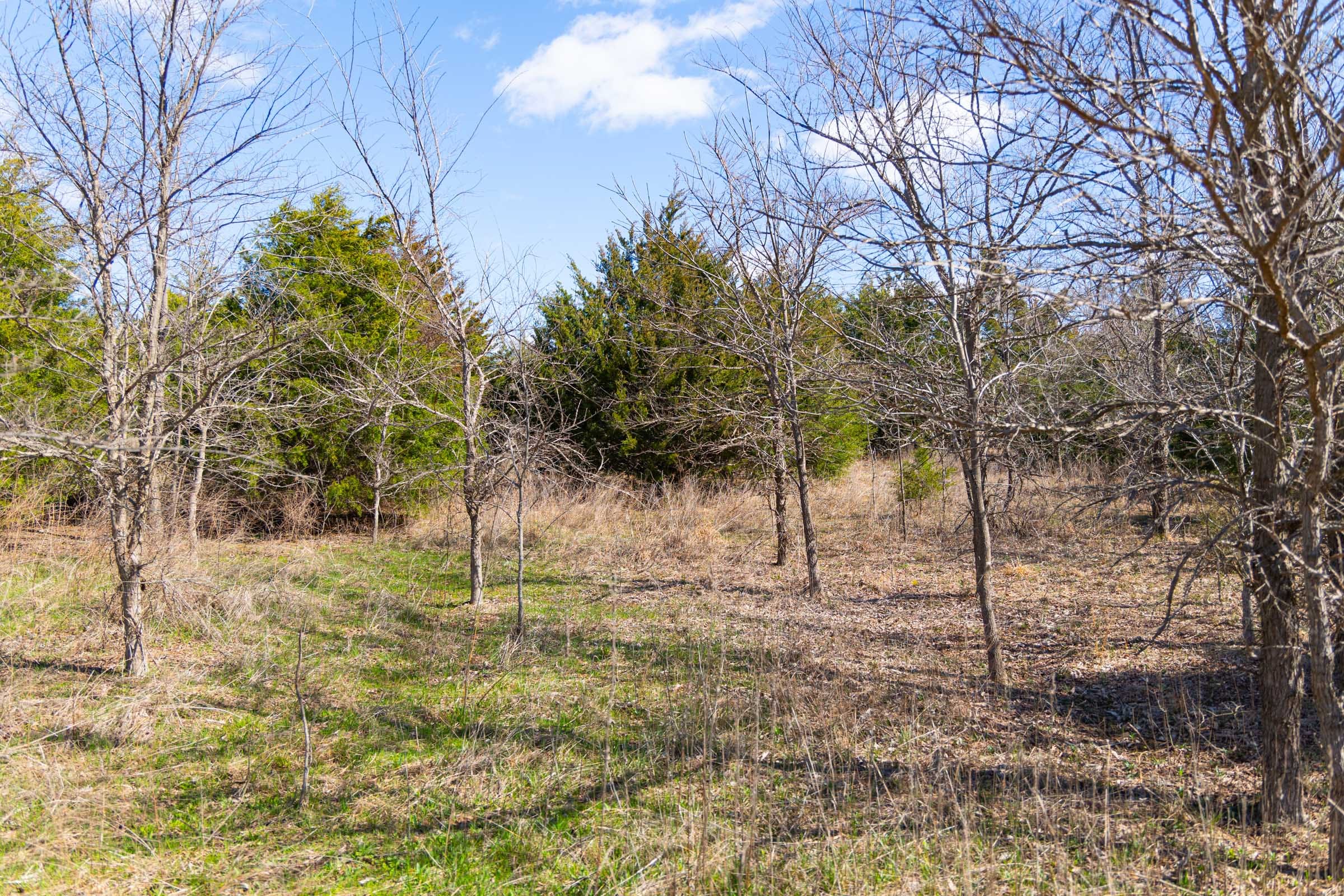 Reserves At Cattail Cove Phase I Tract 28 photo 7