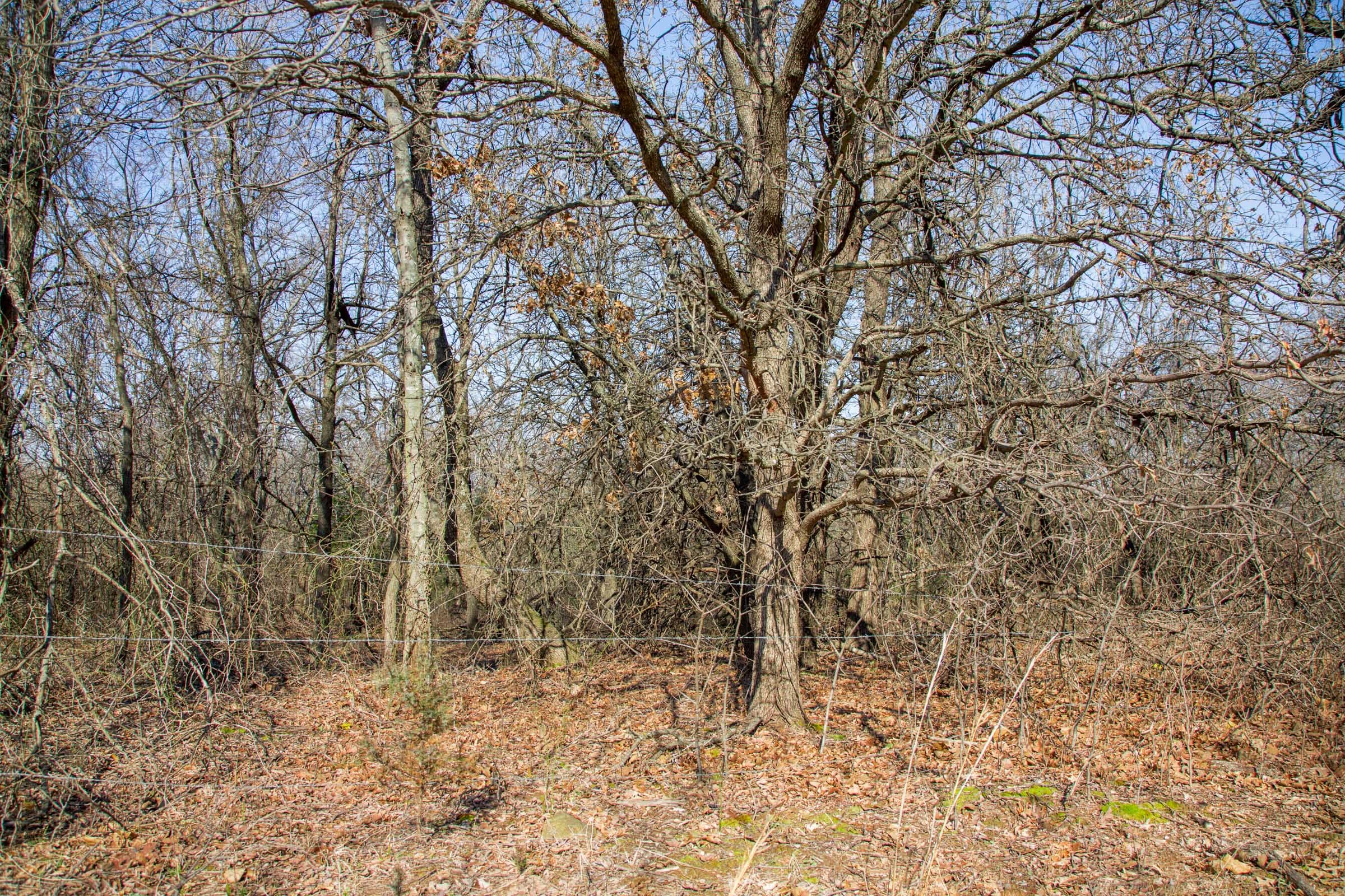 Eufaula Cove Tract 15 photo 4