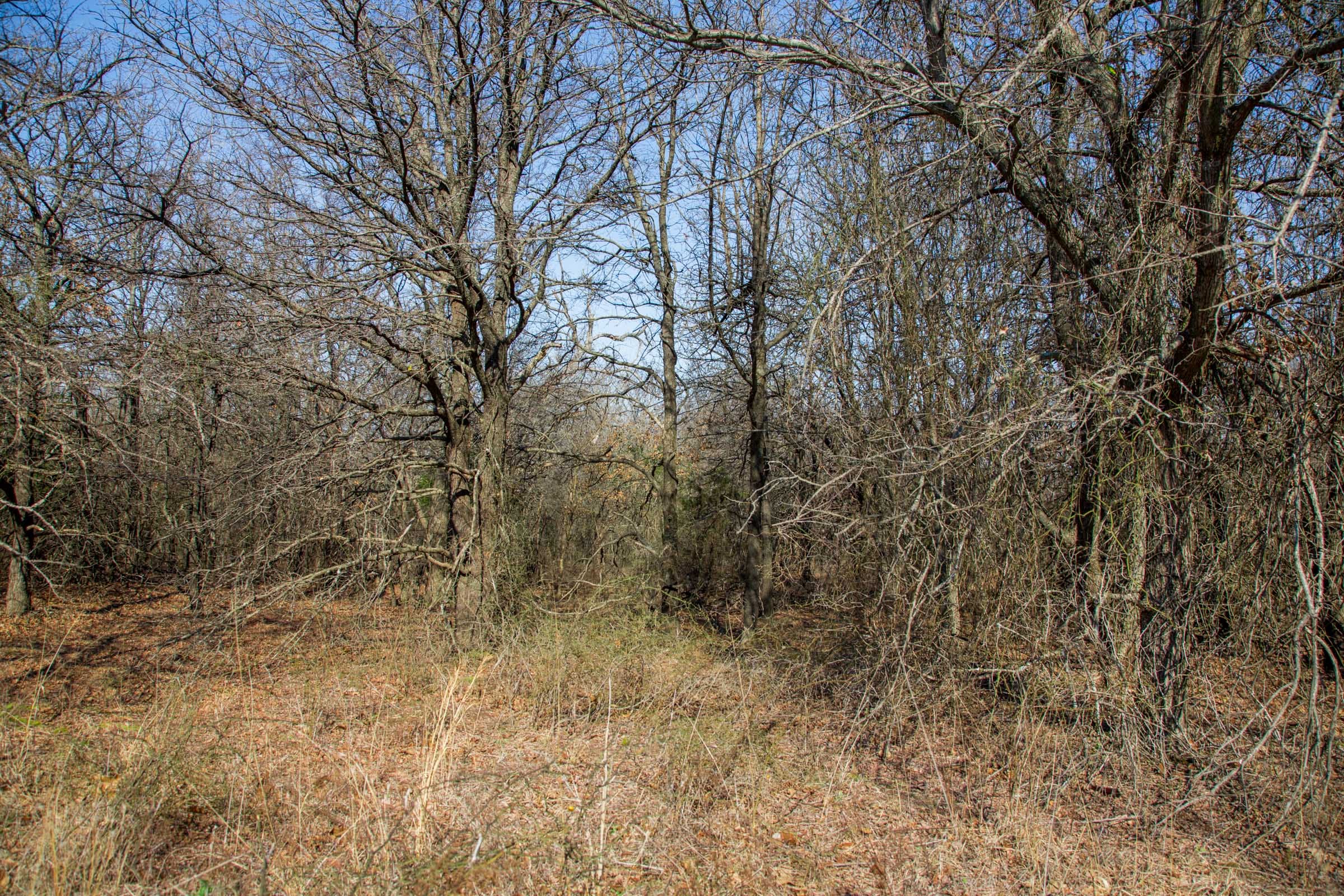 Eufaula Cove Tract 15 photo 5