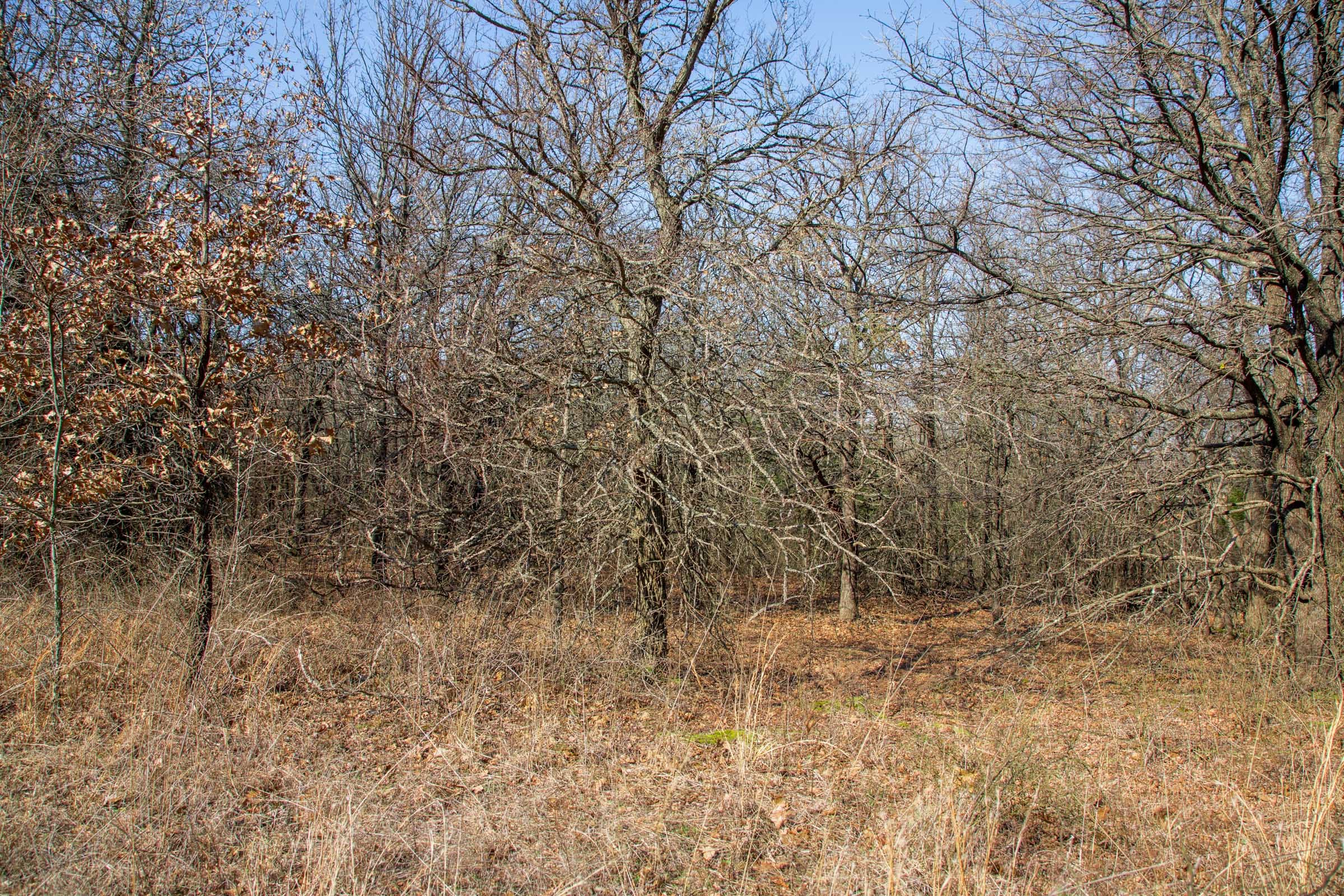 Eufaula Cove Tract 15 photo 6