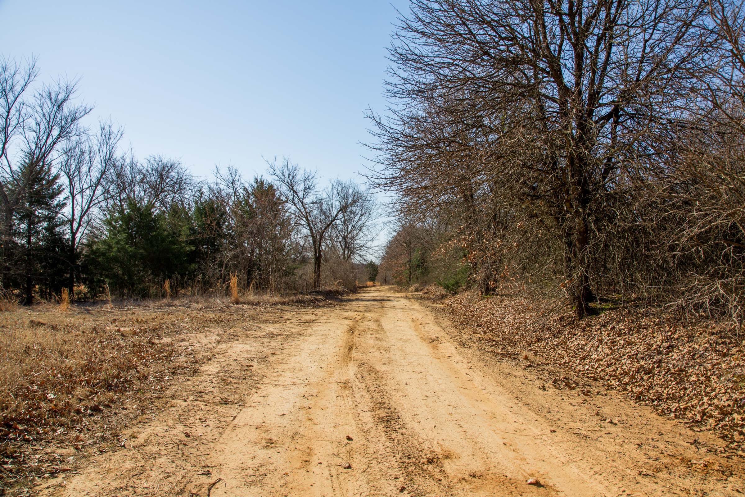 Eufaula Cove Tract 15 photo 9