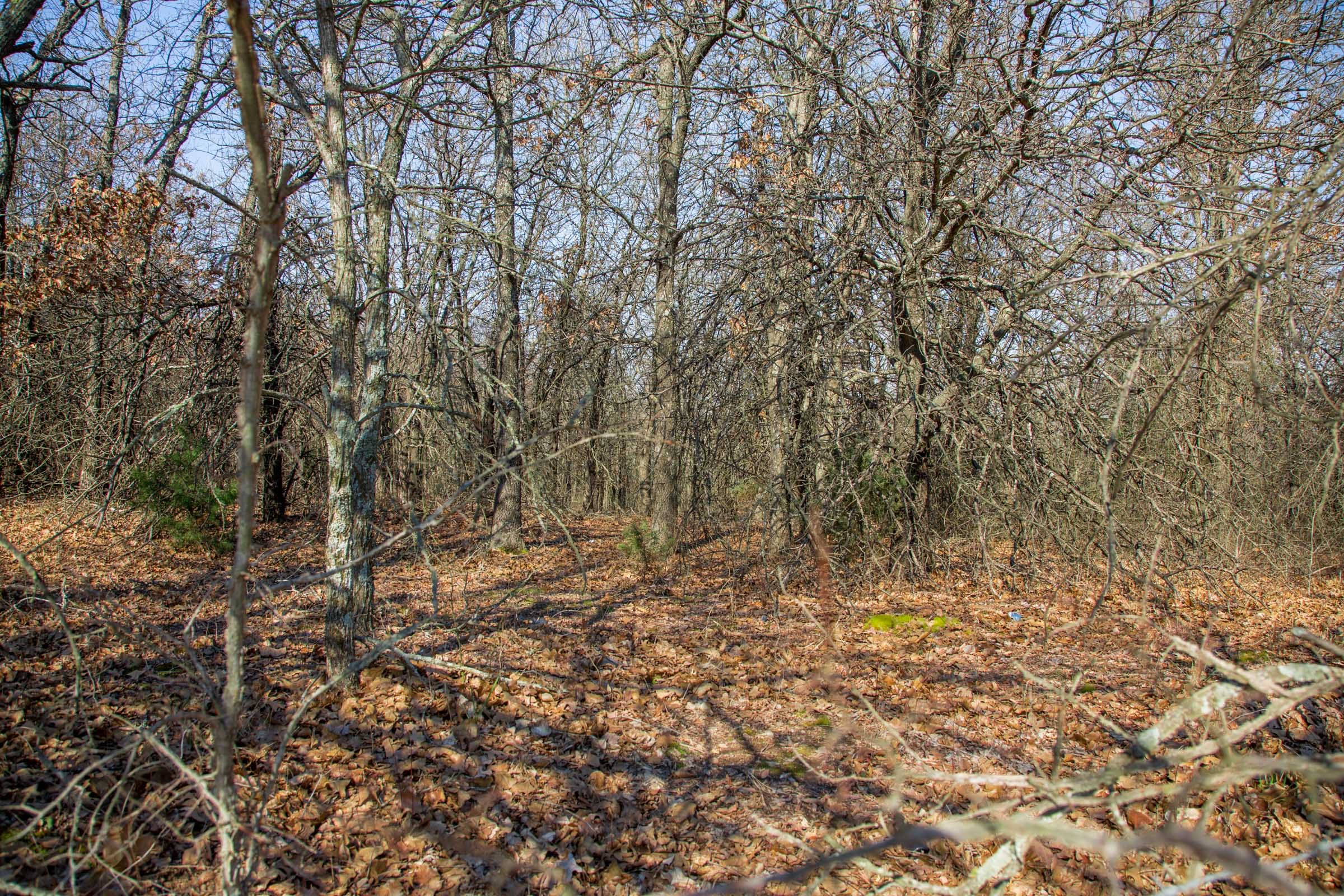 Eufaula Cove Tract 15 photo 11