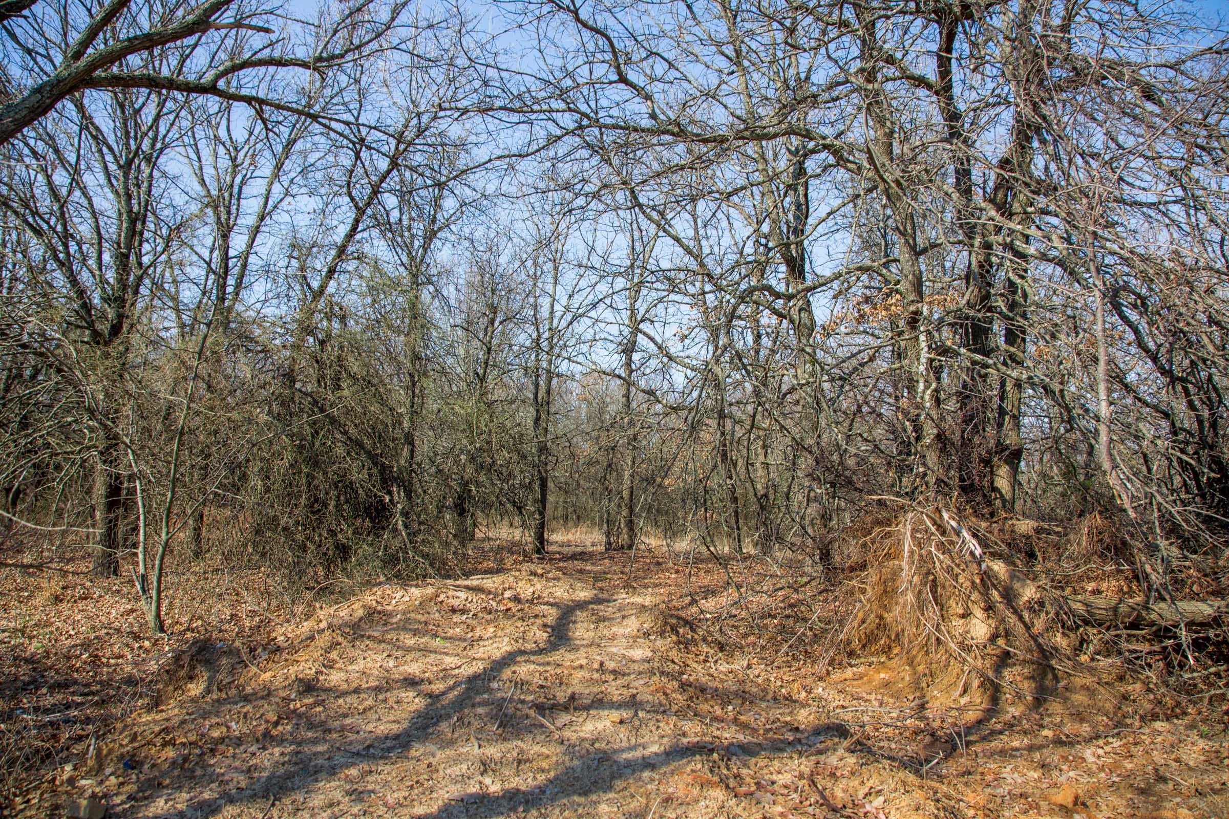 Eufaula Cove Tract 15 photo 15
