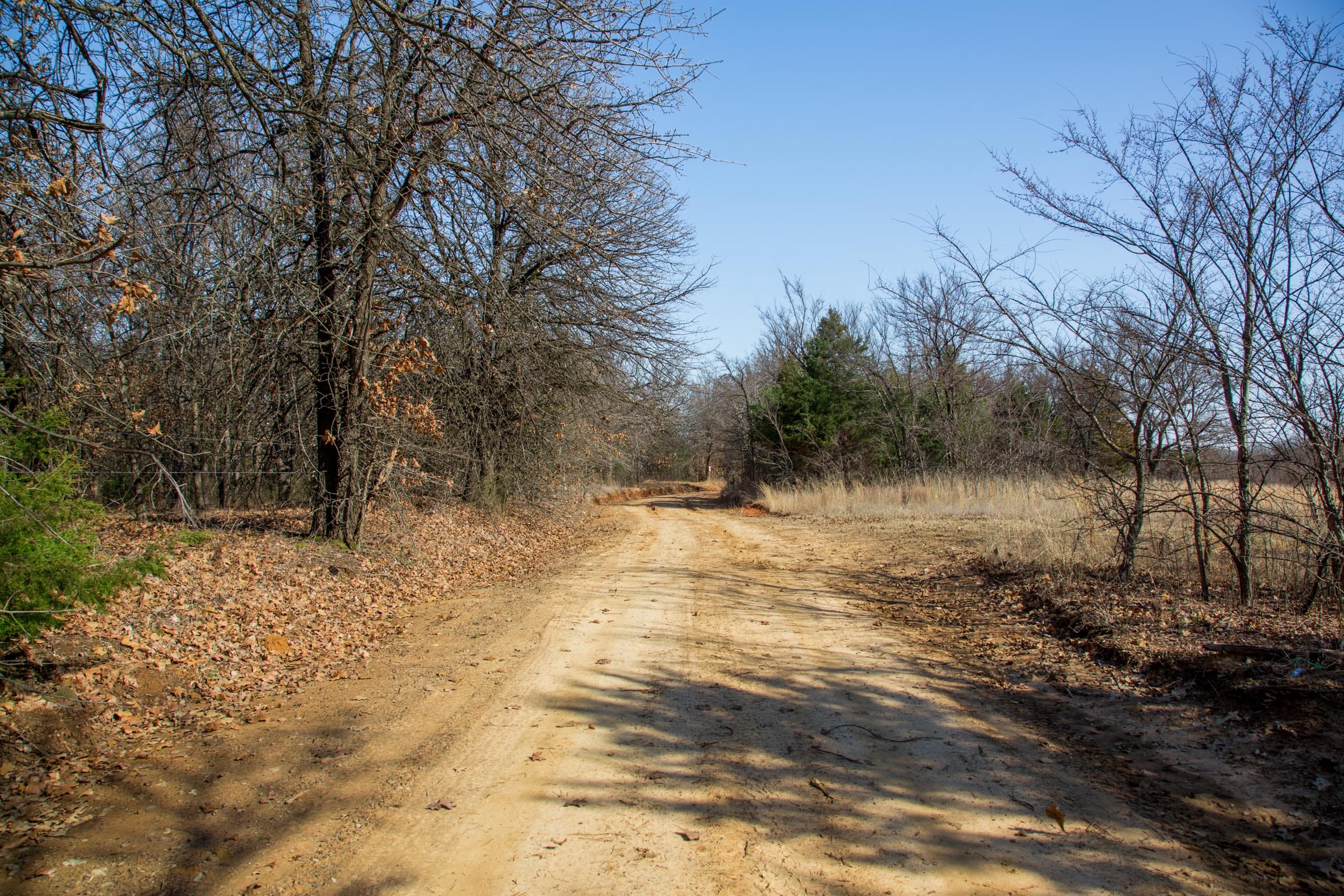 Eufaula Cove Tract 15 photo 16