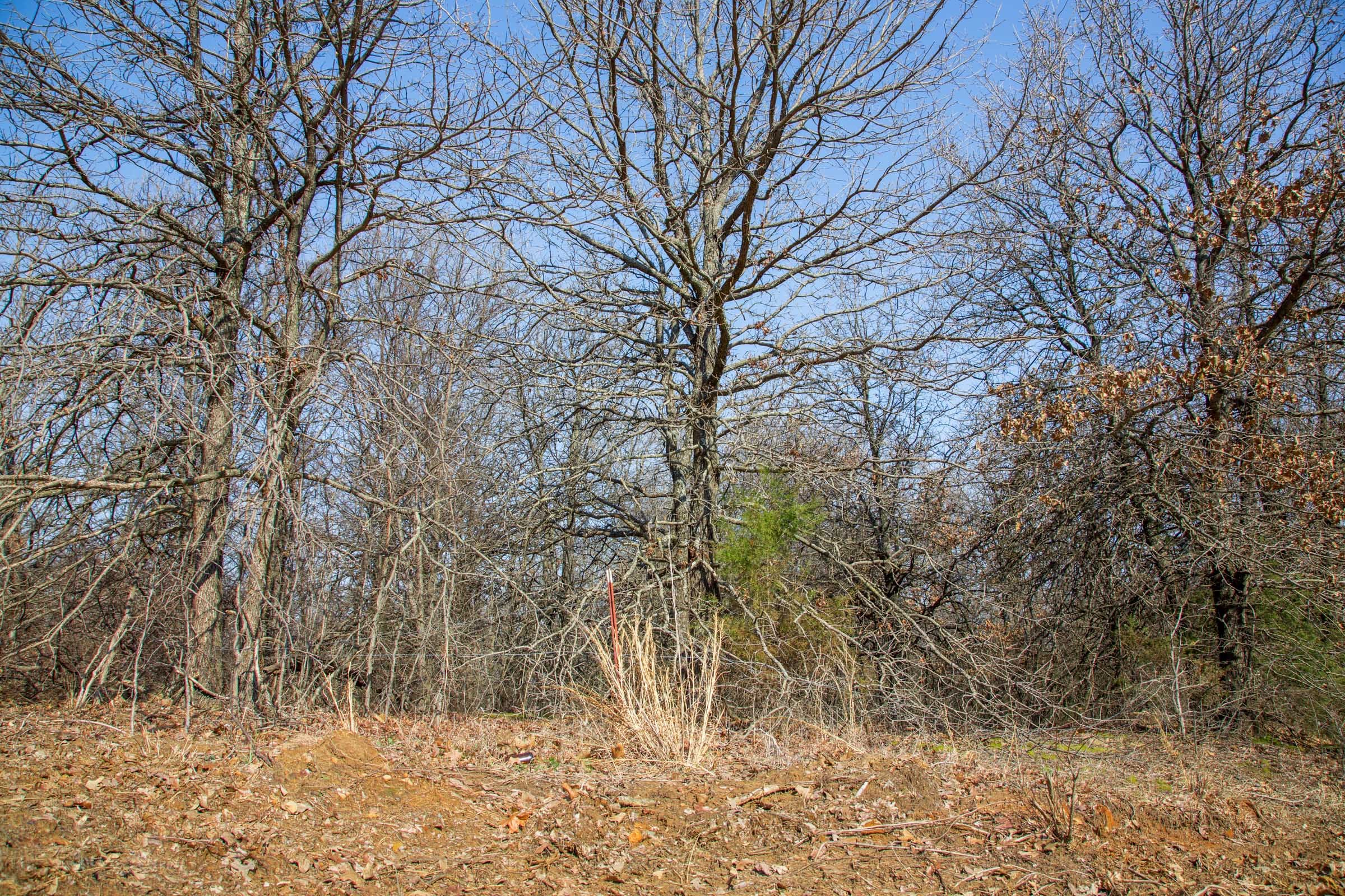 Eufaula Cove Tract 15 photo 18