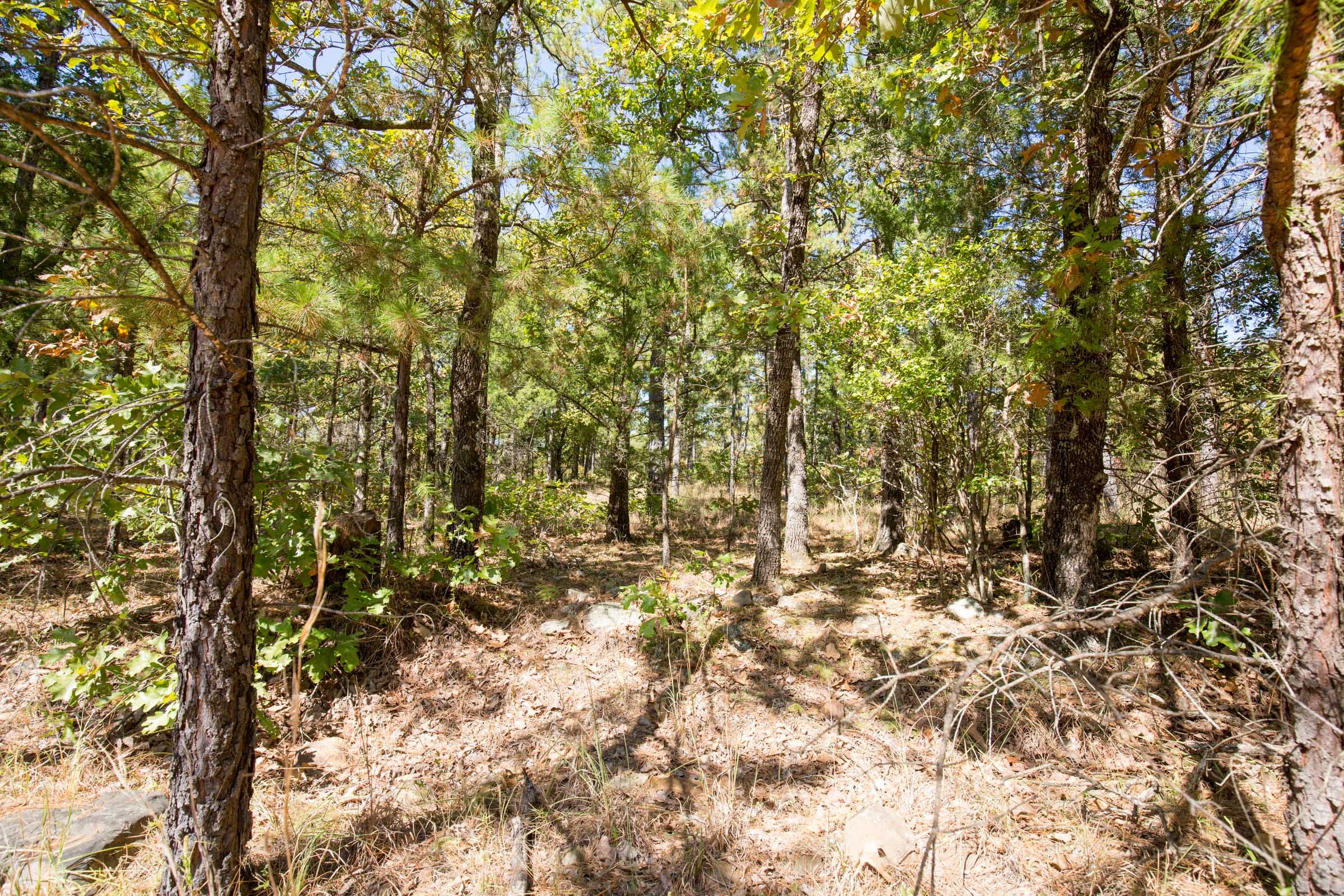 Stone Bridge Phase I Tract 22 photo 1