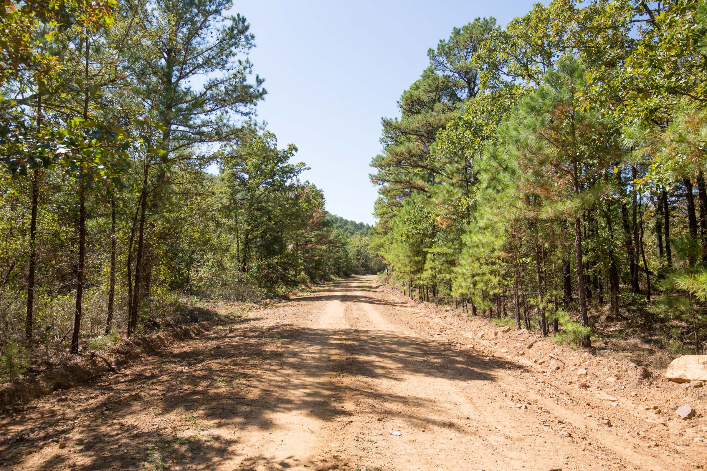 Stone Bridge Phase I Tract 22 photo 7