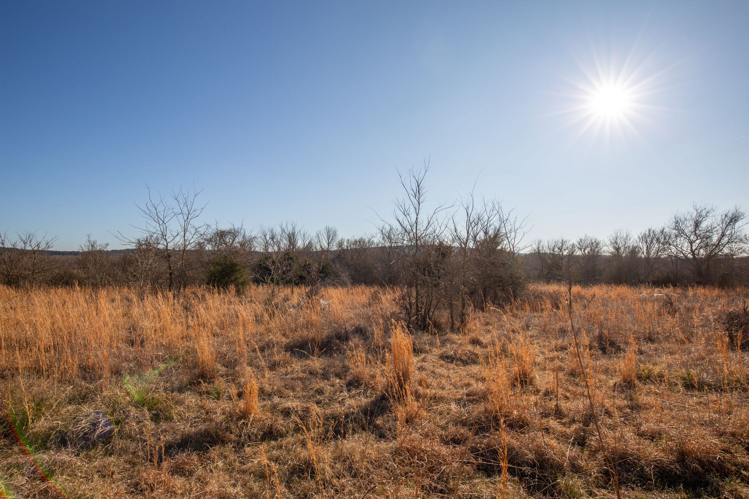 Painted Horse Tract 39 photo 2