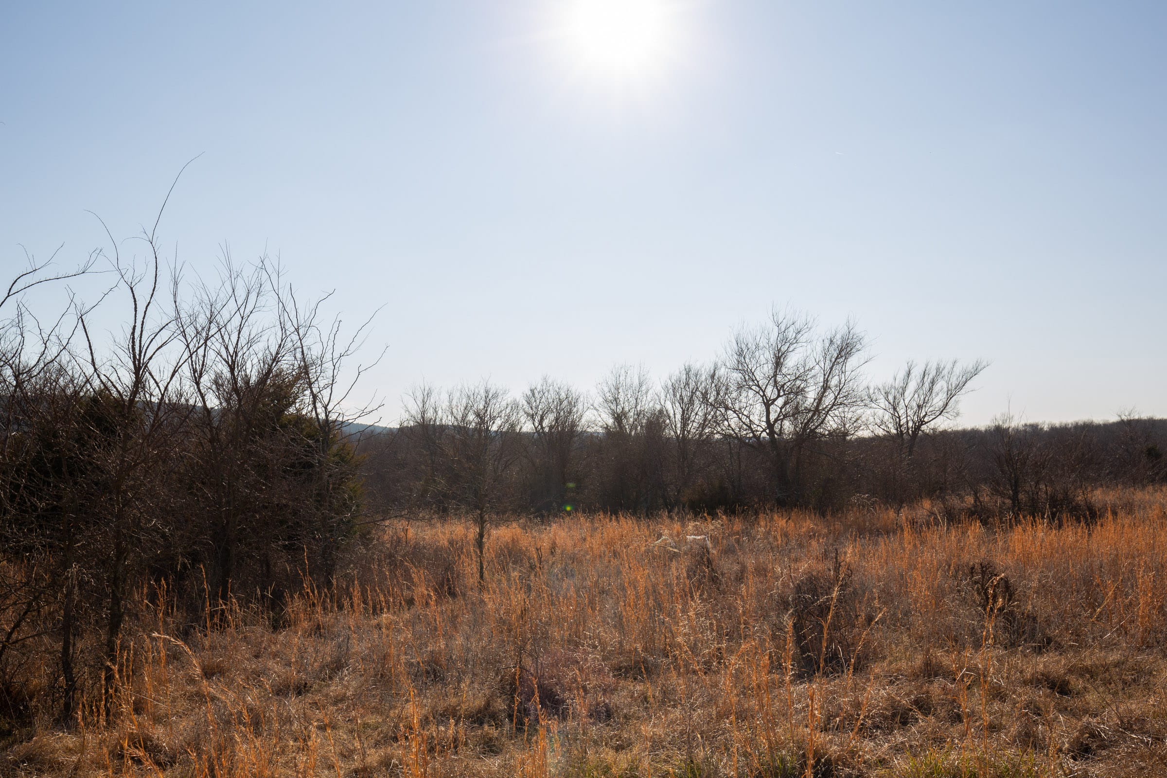 Painted Horse Tract 39 photo 3