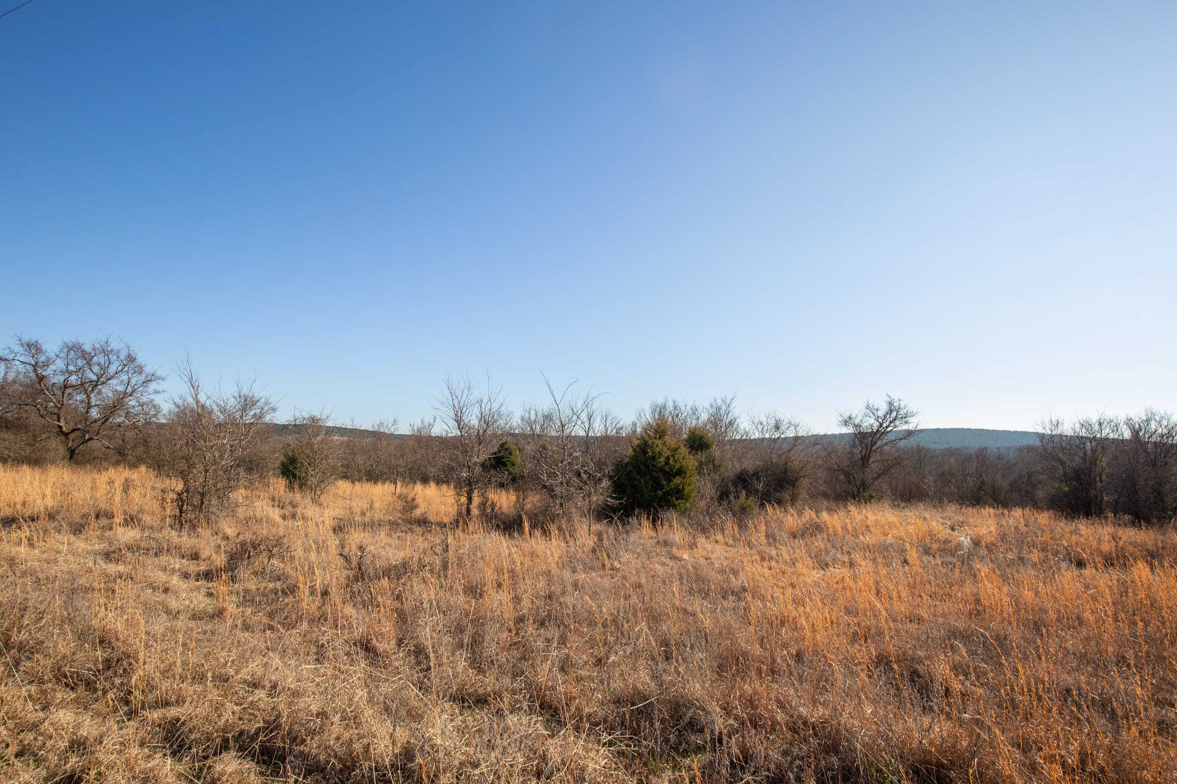 Painted Horse Tract 39 photo 4