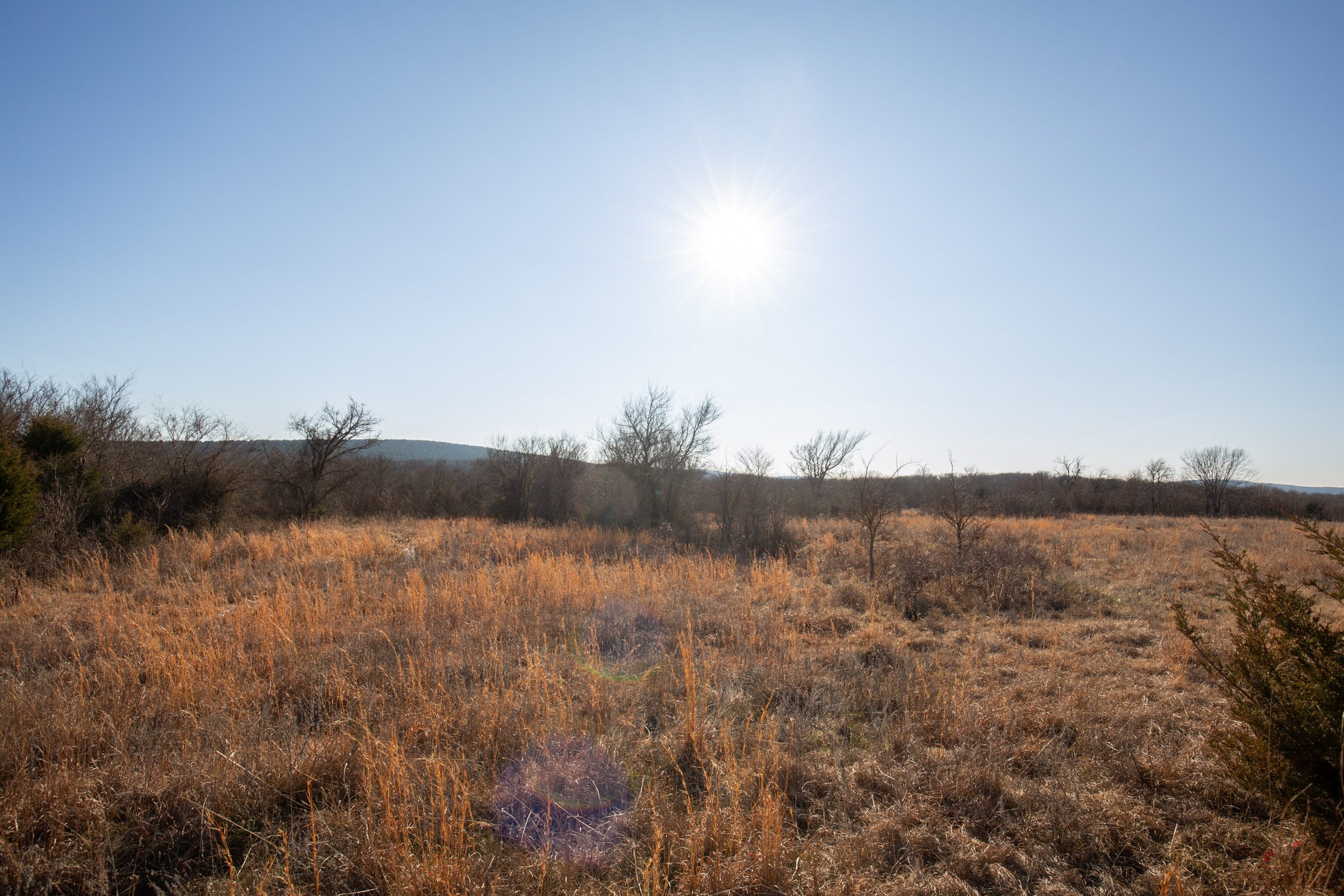 Painted Horse Tract 39 photo 6