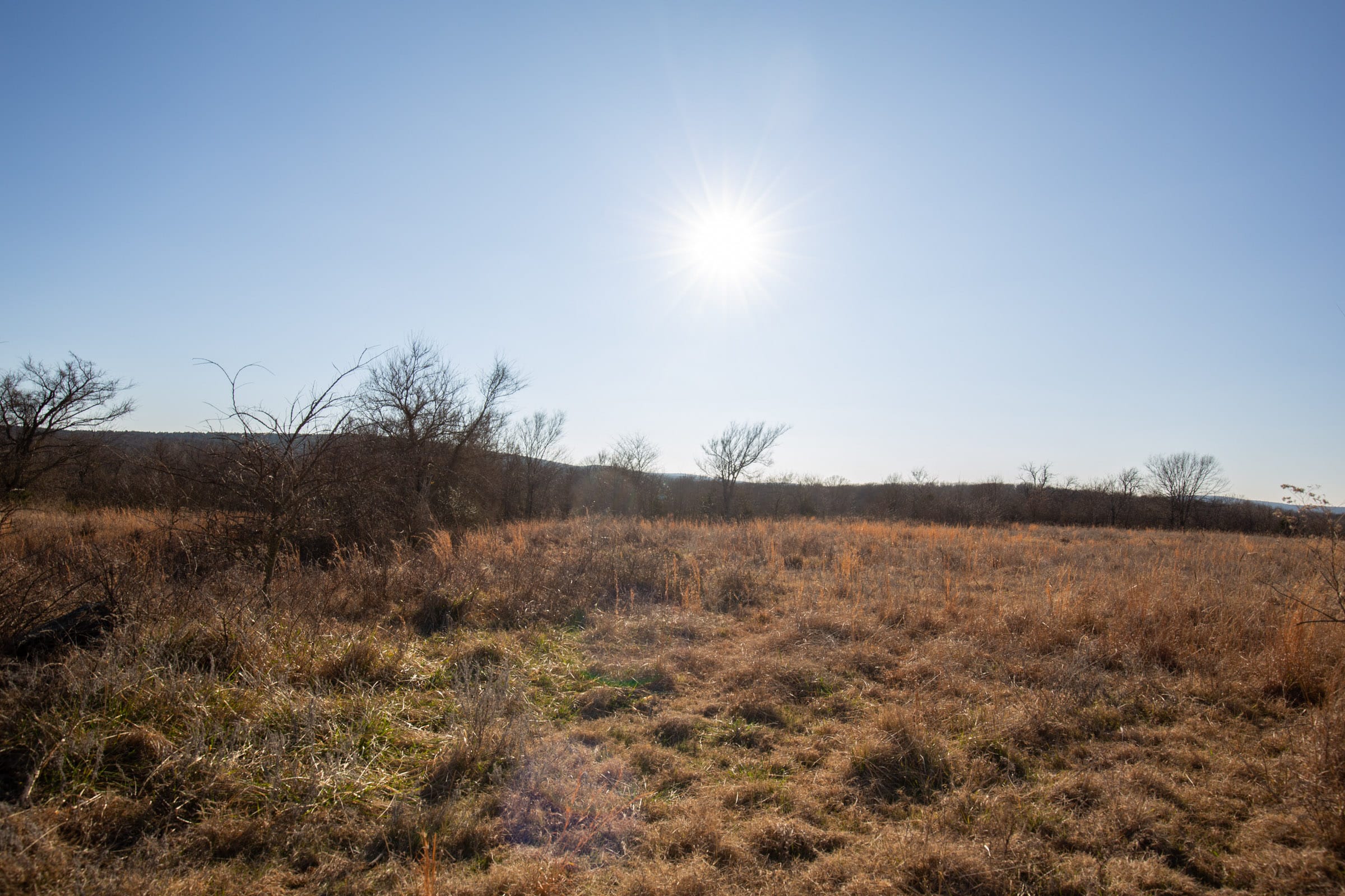 Painted Horse Tract 39 photo 7
