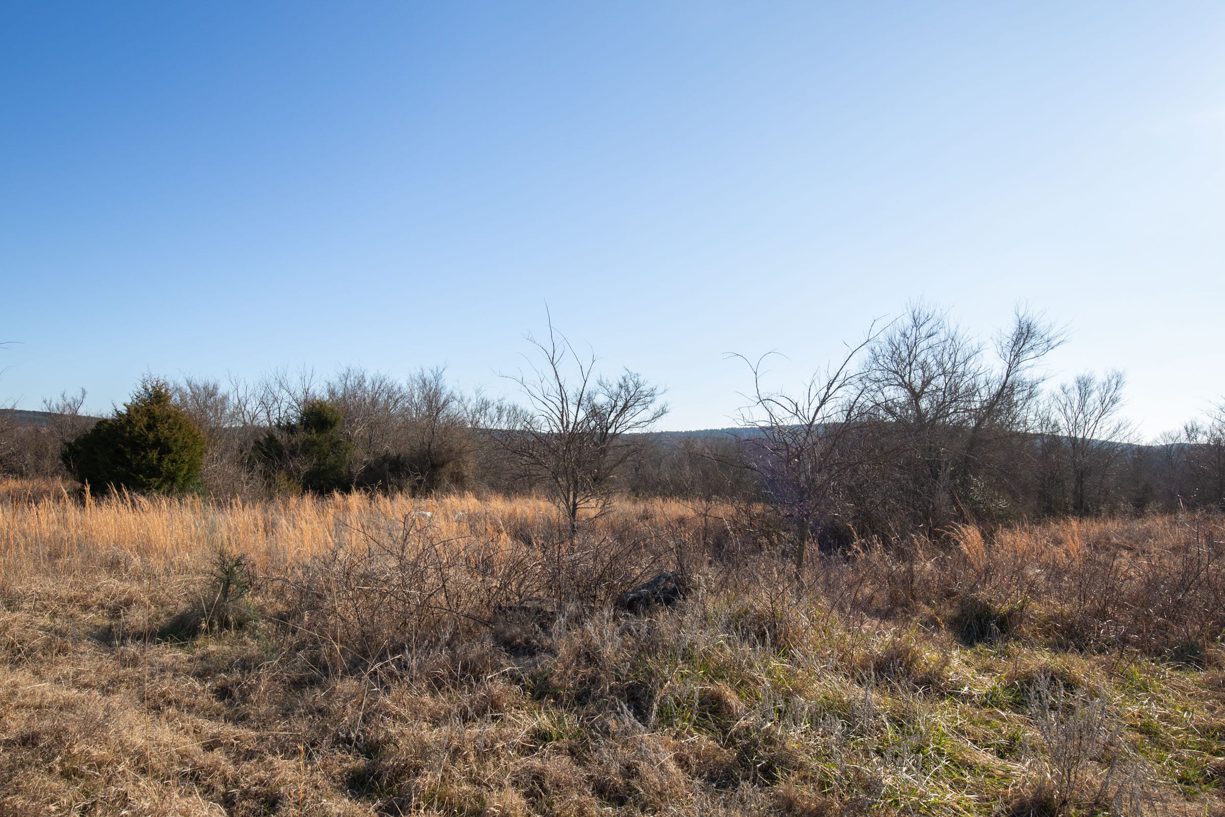 Painted Horse Tract 39 photo 9