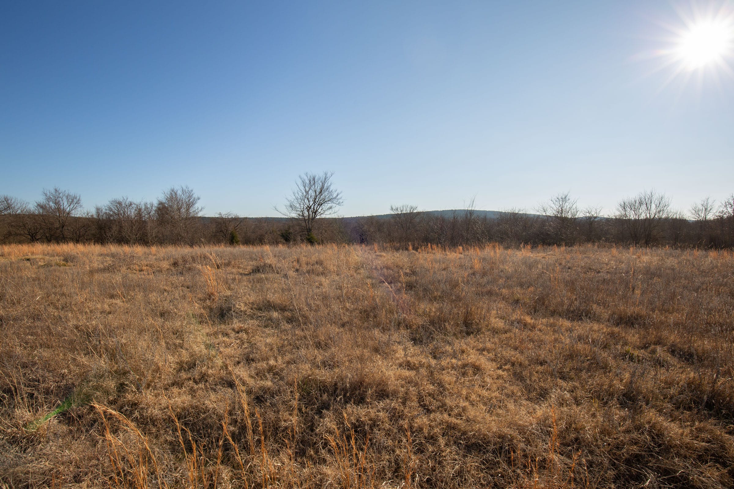 Painted Horse Tract 39 photo 13