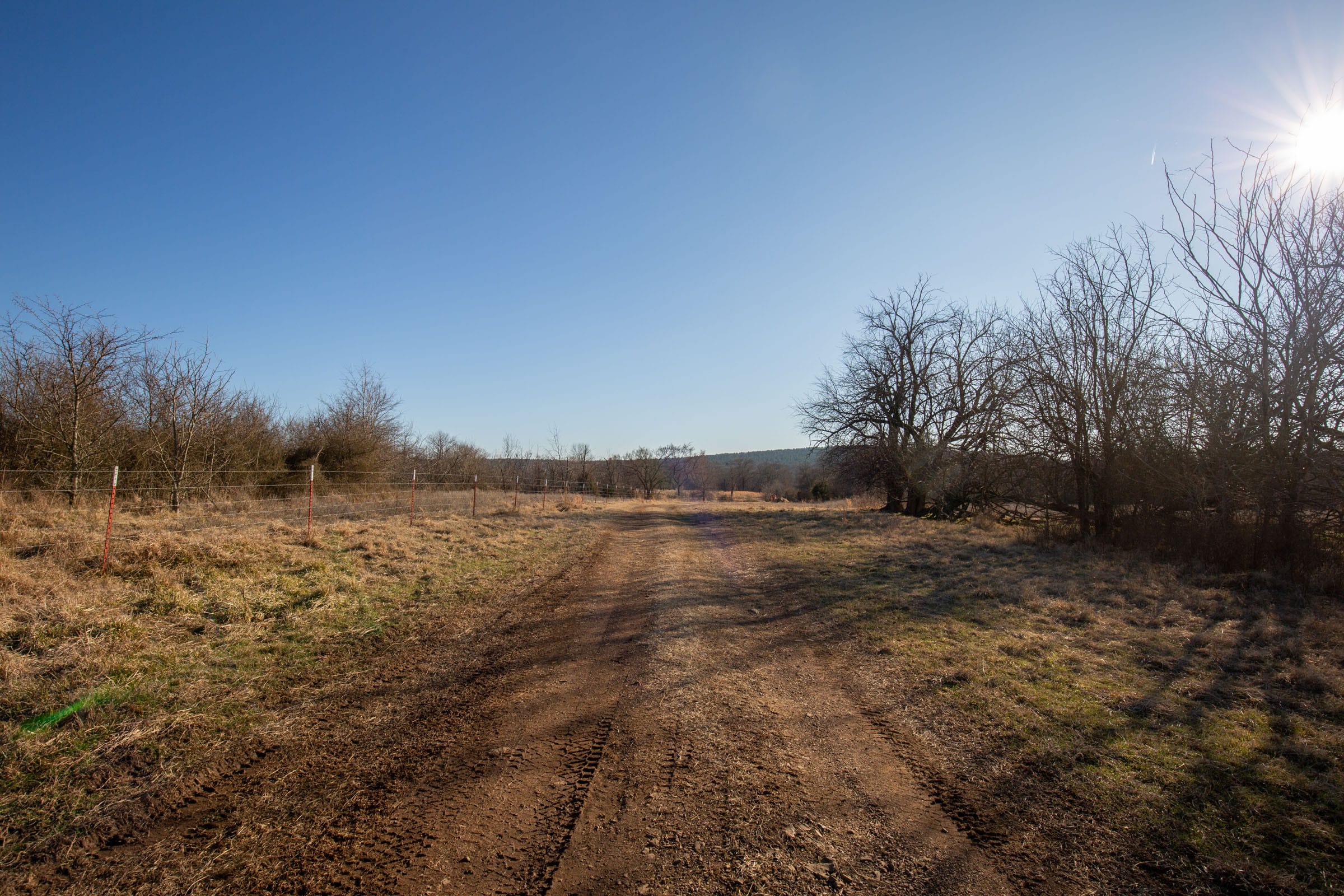 Painted Horse Tract 39 photo 15