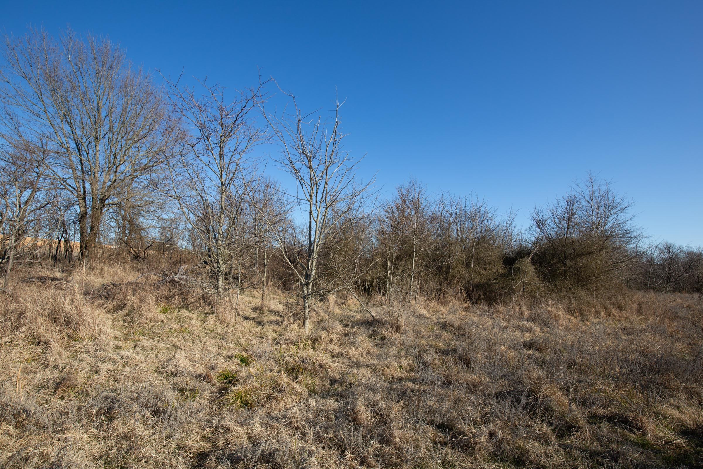 Painted Horse Tract 39 photo 11