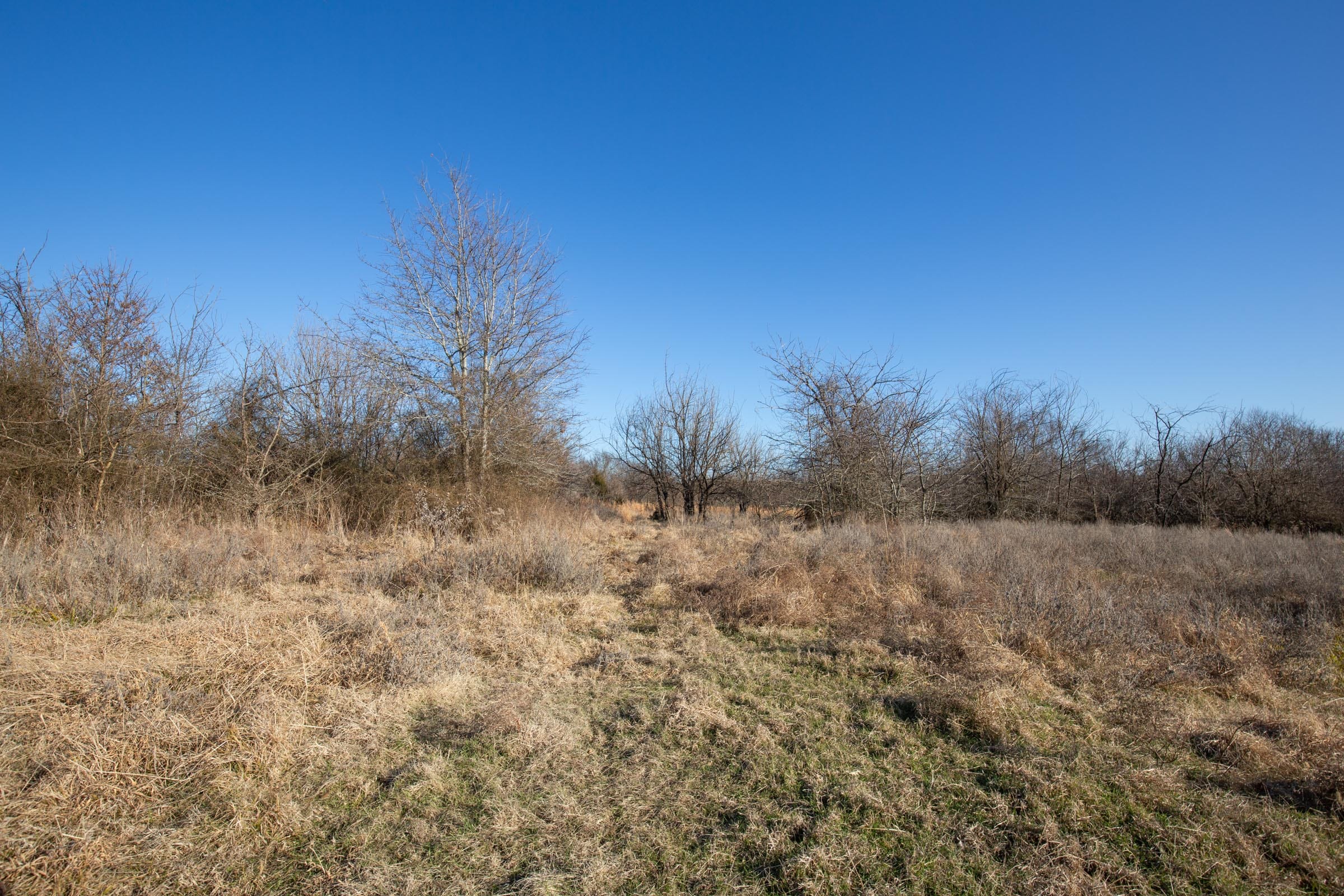 Painted Horse Tract 39 photo 14