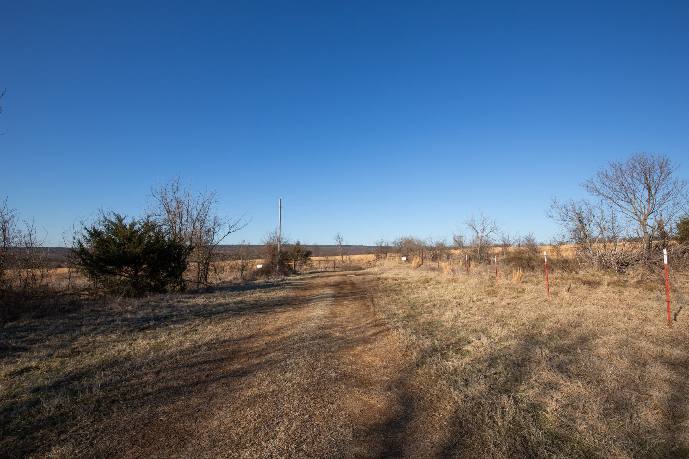 Painted Horse Tract 39 photo 5