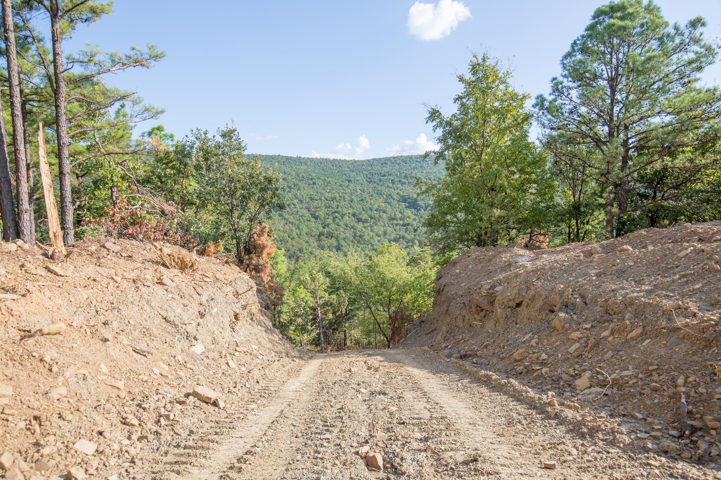 Stone Bridge Phase I Tract 65 photo 1