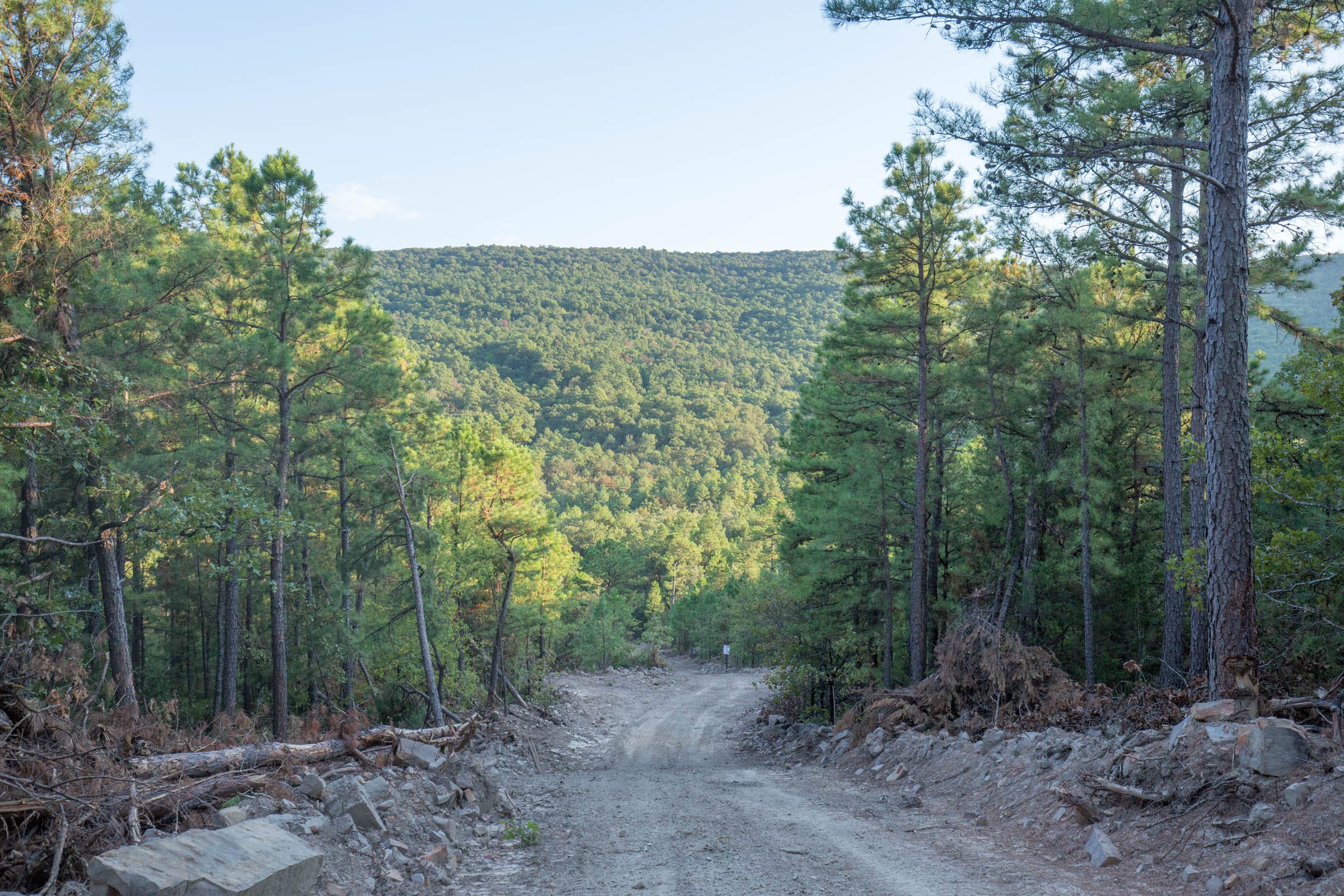 Stone Bridge Phase I Tract 65 photo 11