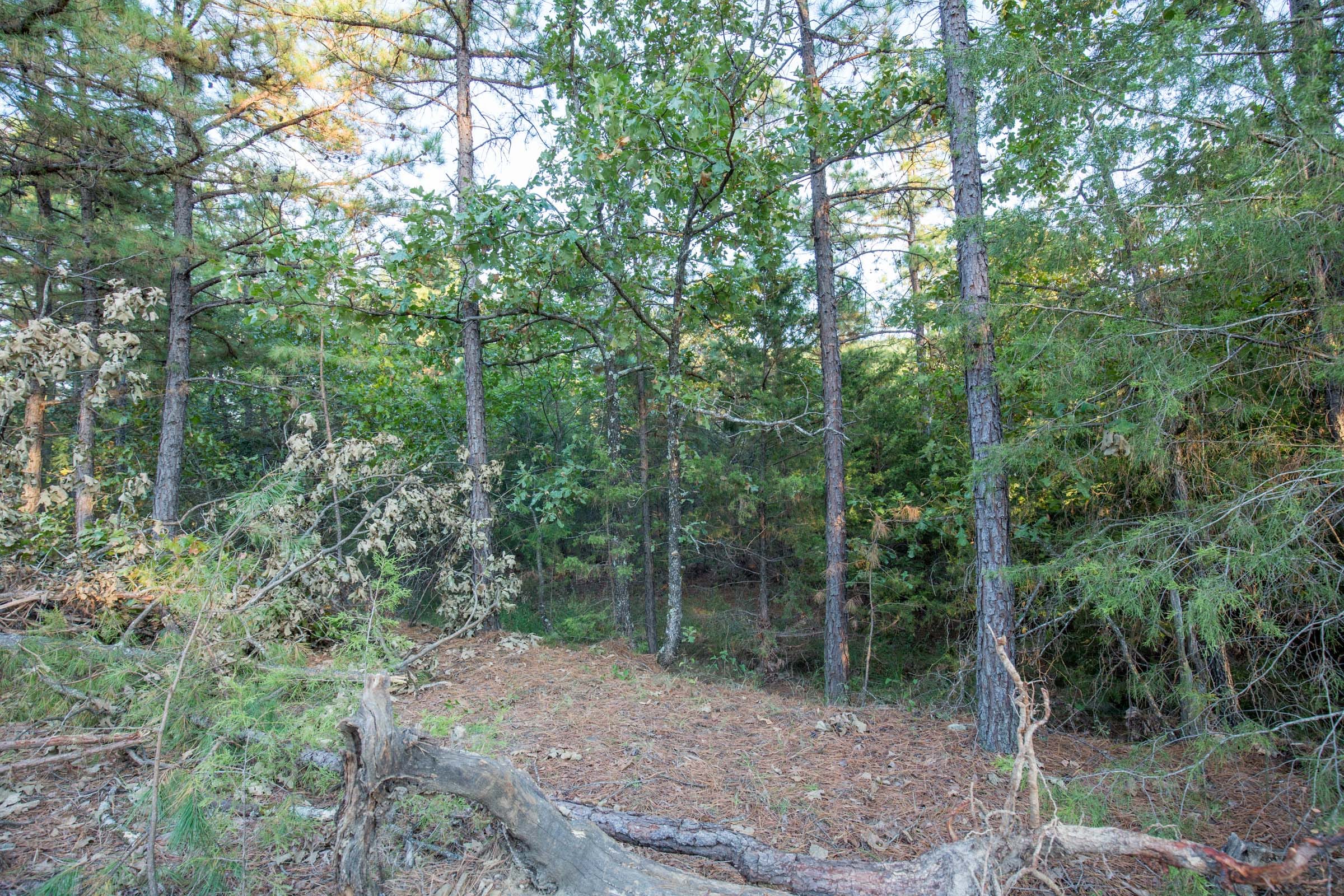 Stone Bridge Phase I Tract 65 photo 14