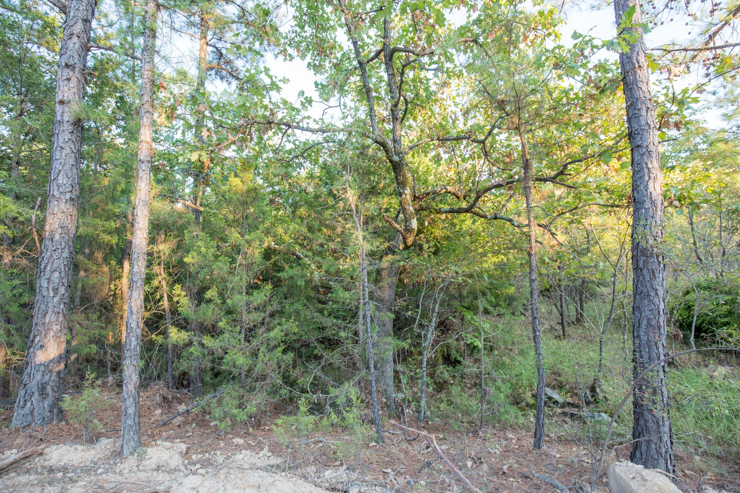 Stone Bridge Phase I Tract 65 photo 15