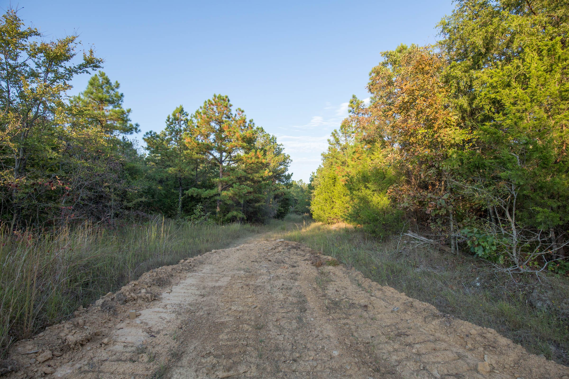 Stone Bridge Phase I Tract 65 photo 16